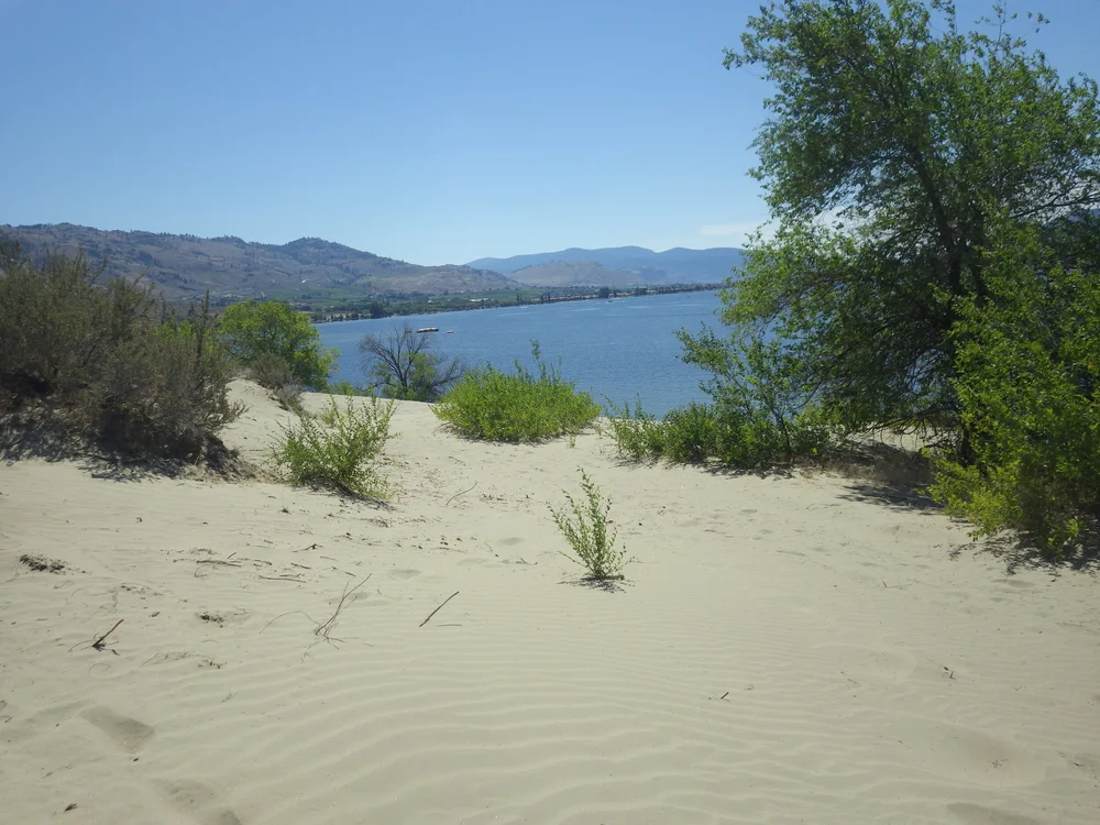 Osoyoos Dune Exploratory Glory Travel Blog Tinyhouse Living Travel Deals Osoyoos Dune Exploratory Glory Travel Blog Tinyhouse Living Travel Deals