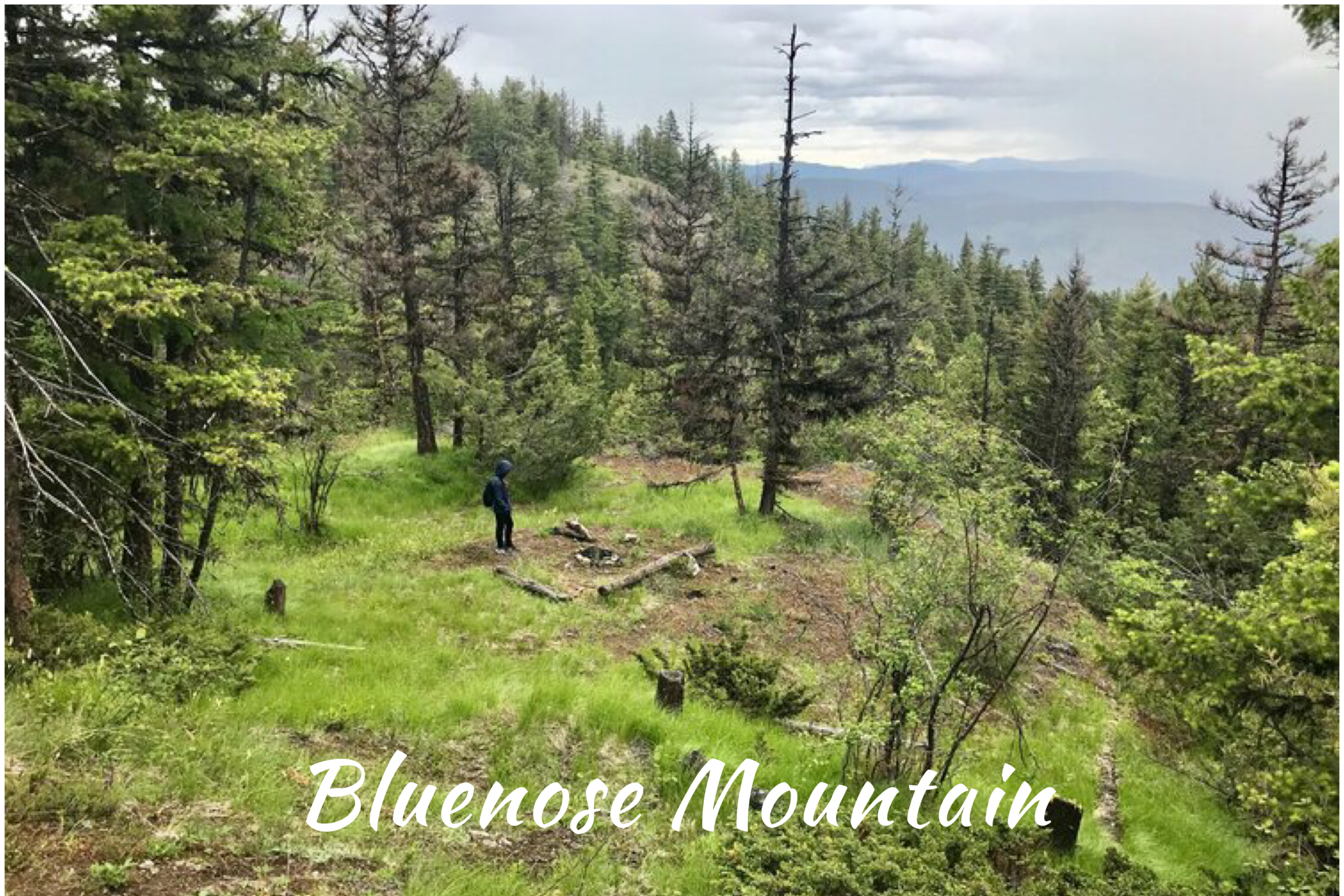 Bluenose Mountain, Vernon, BC