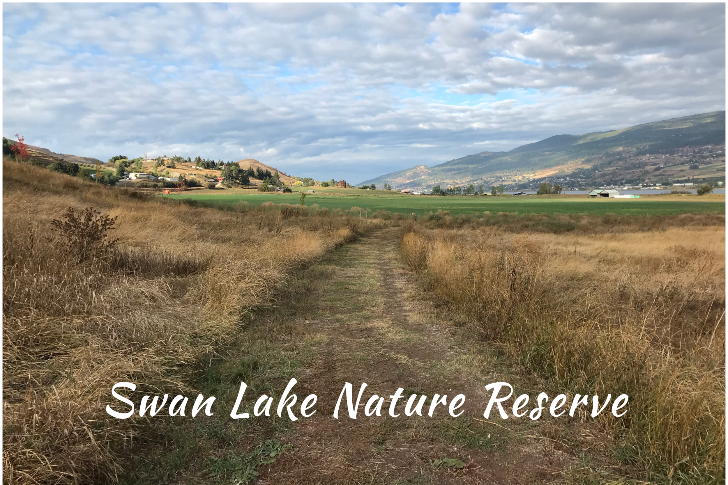 Swan Lake Nature Reserve