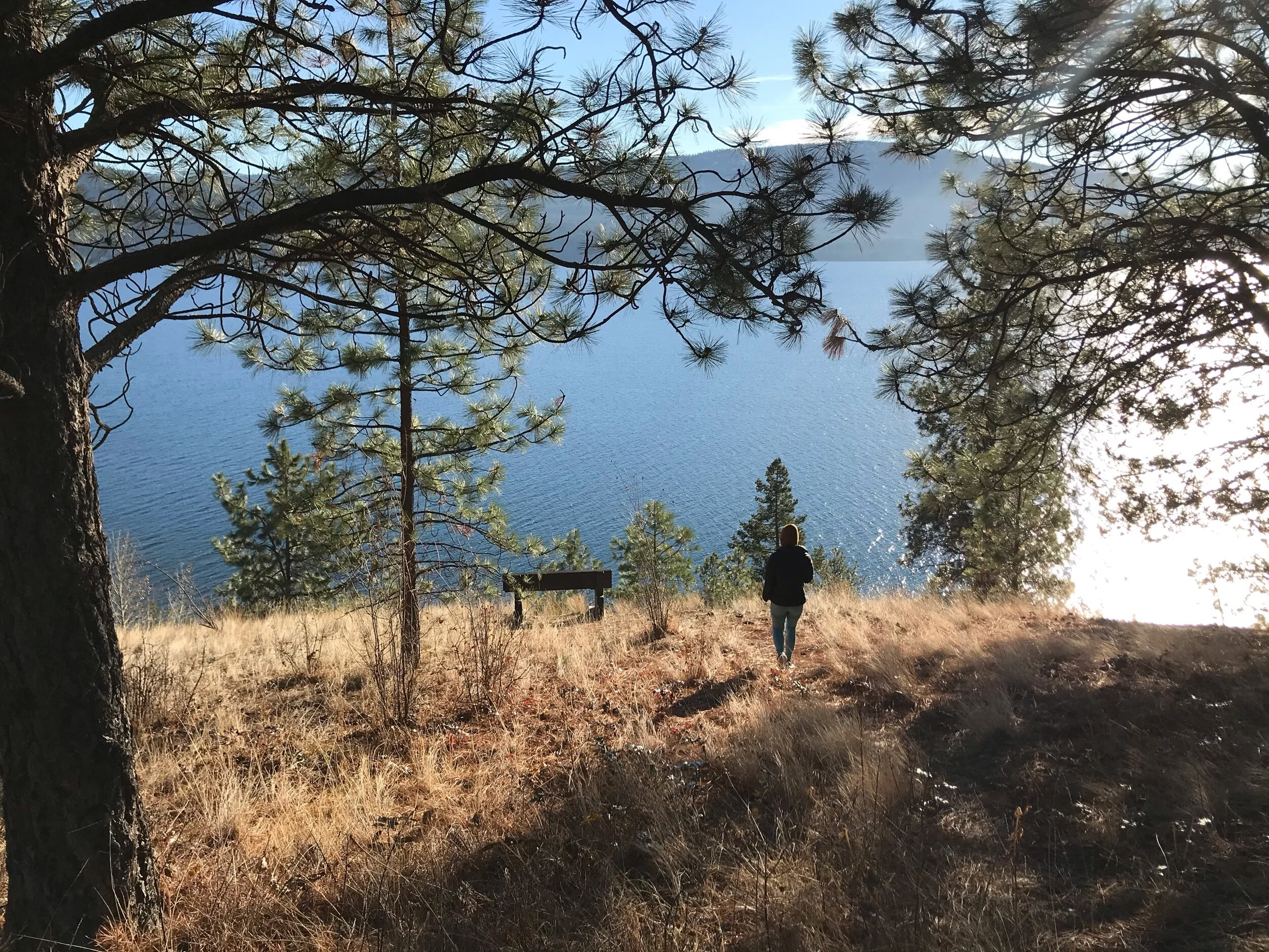 Evely Recreation Site, BC