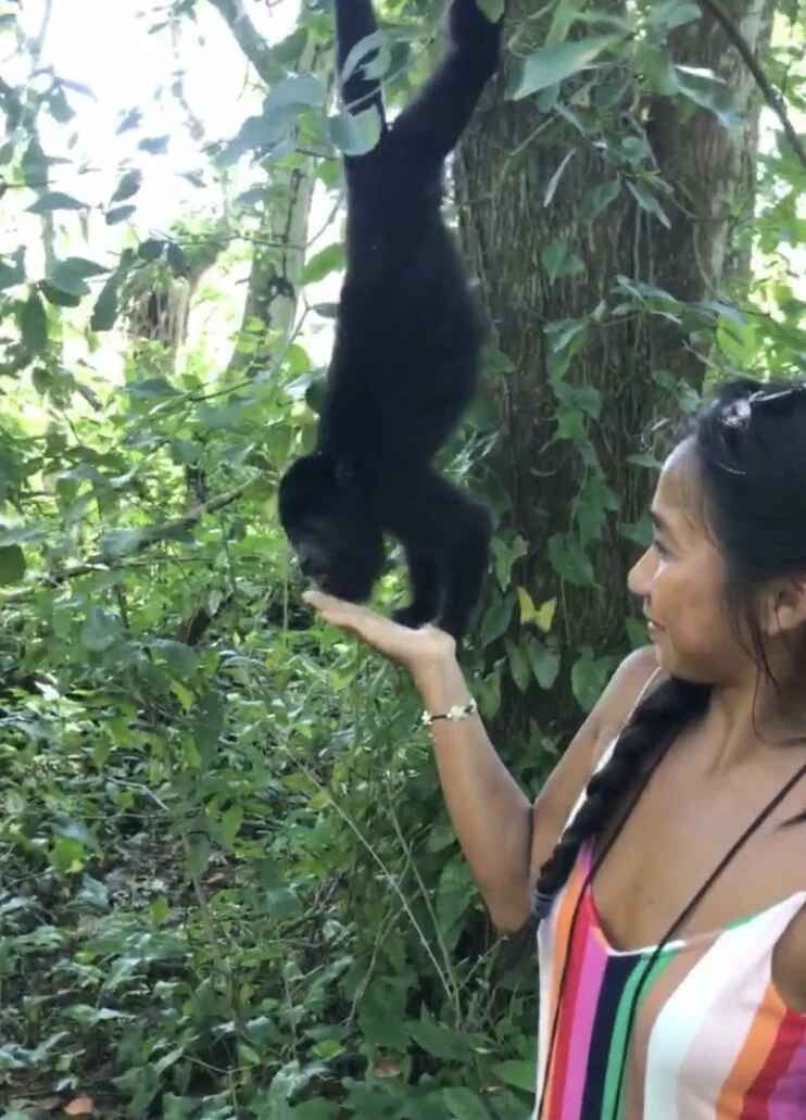 Belize Ecolution Adventures: Howler Monkeys