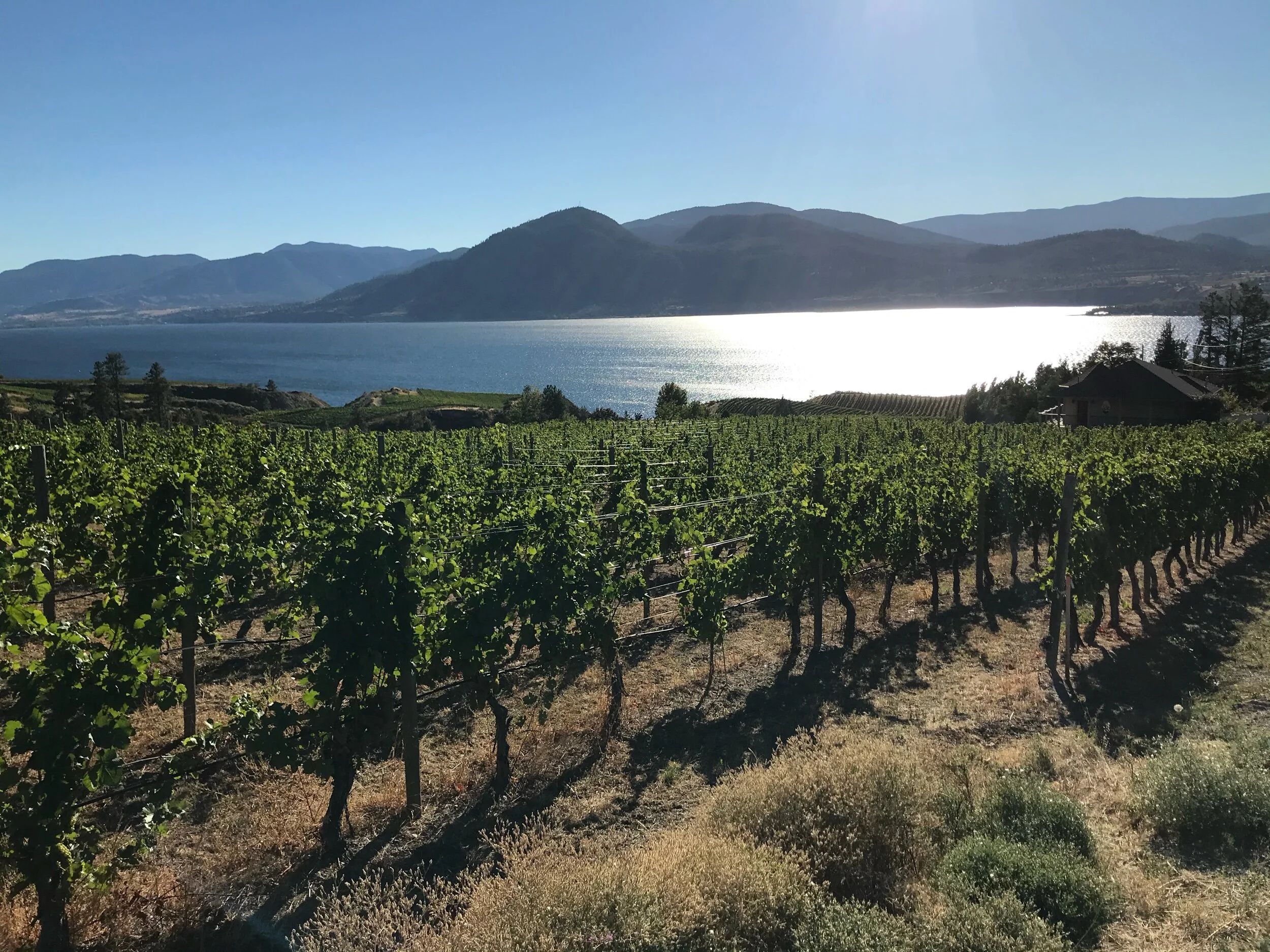 Guide to Travel Naramata, British Columbia — Exploratory Glory Travel