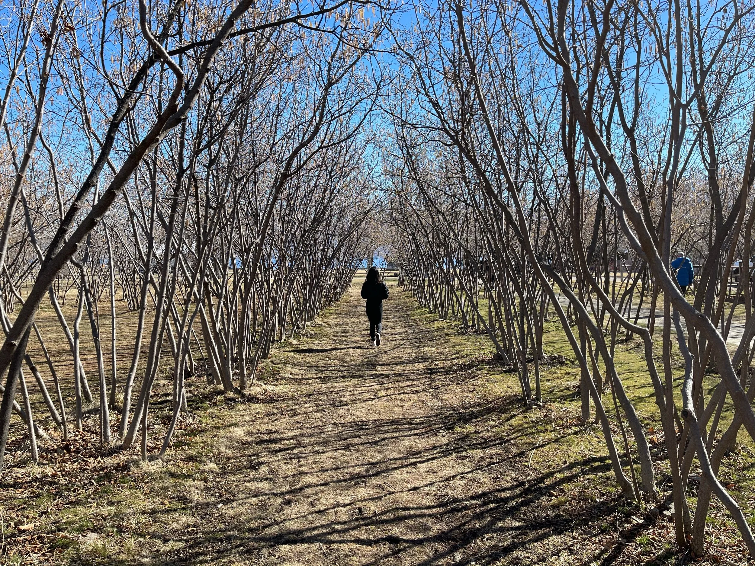 Gellatly Nut Farm Regional Park