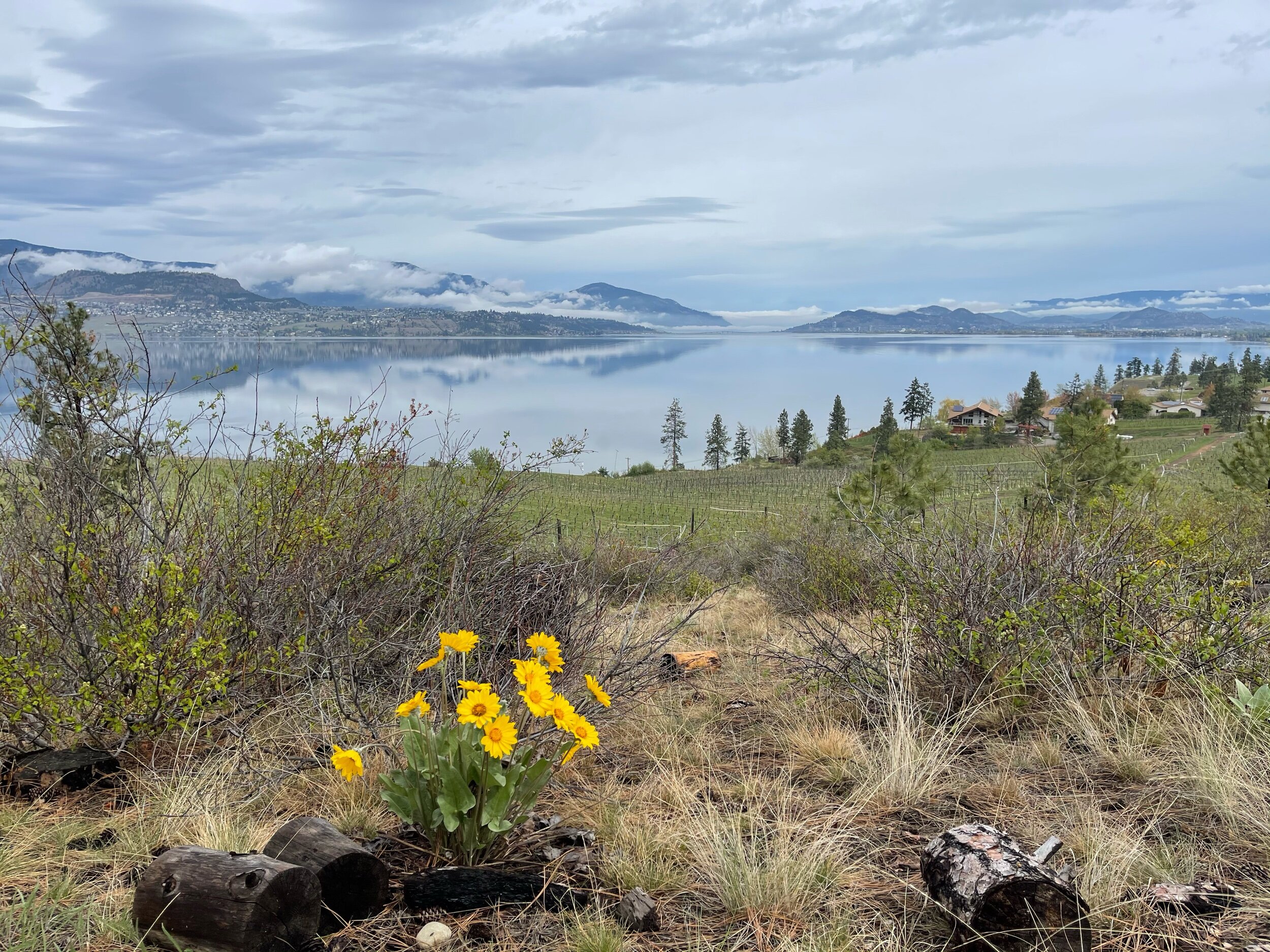 Lebanon Creek Trail, Kelowna