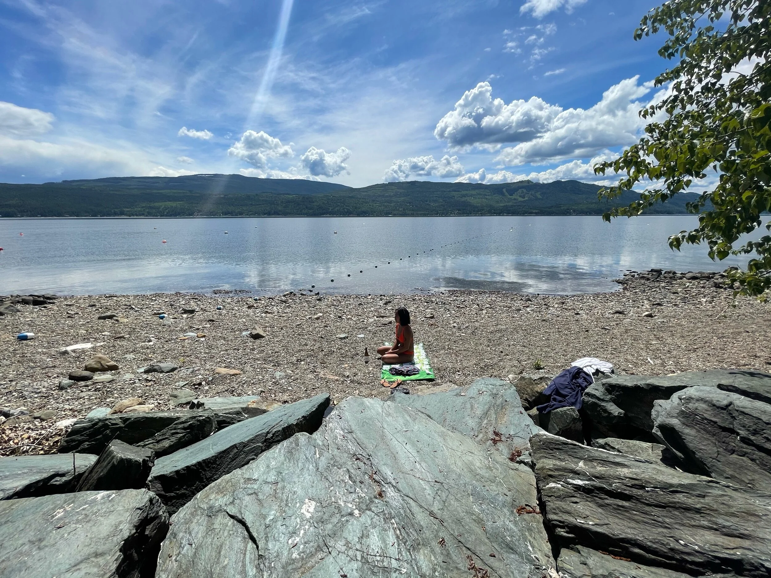 Lakeview Community Park, Anglemont