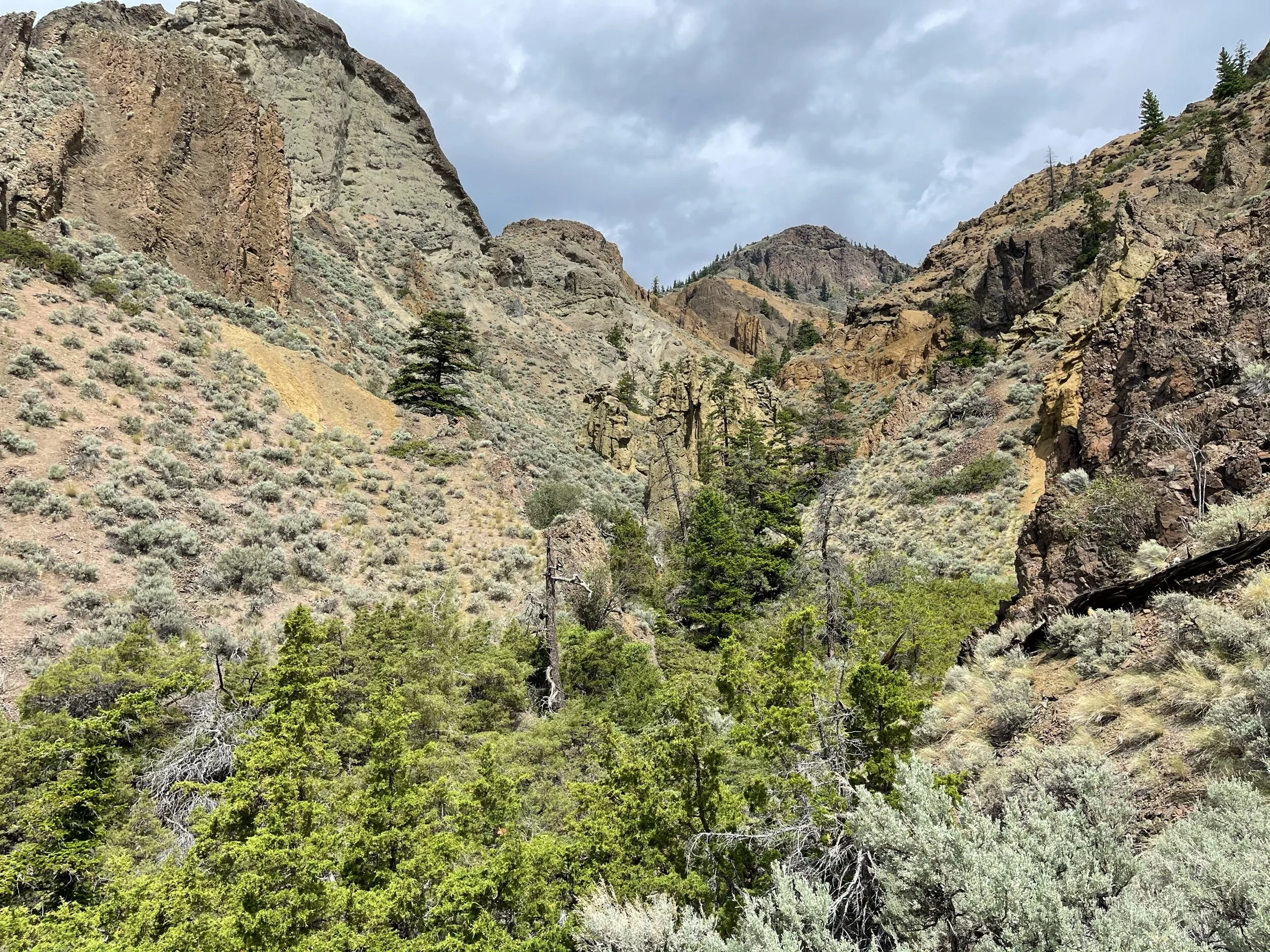 Mara Canyon, Kamloops
