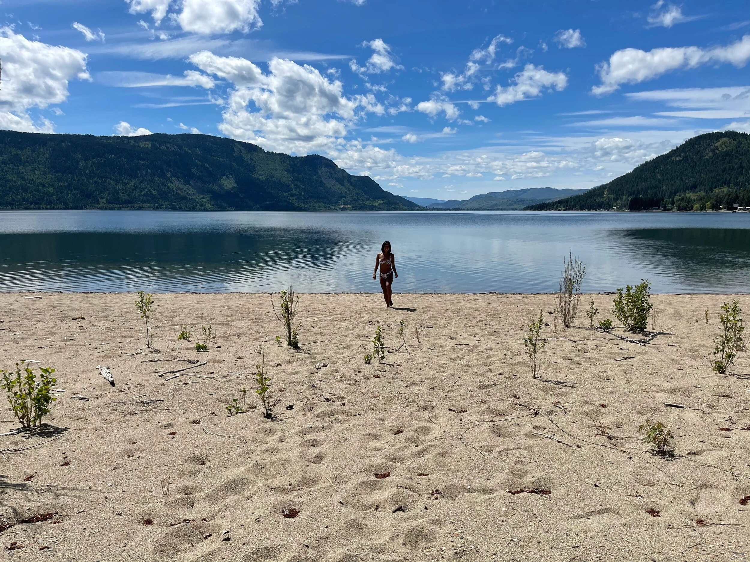 Little Shuswap Lake