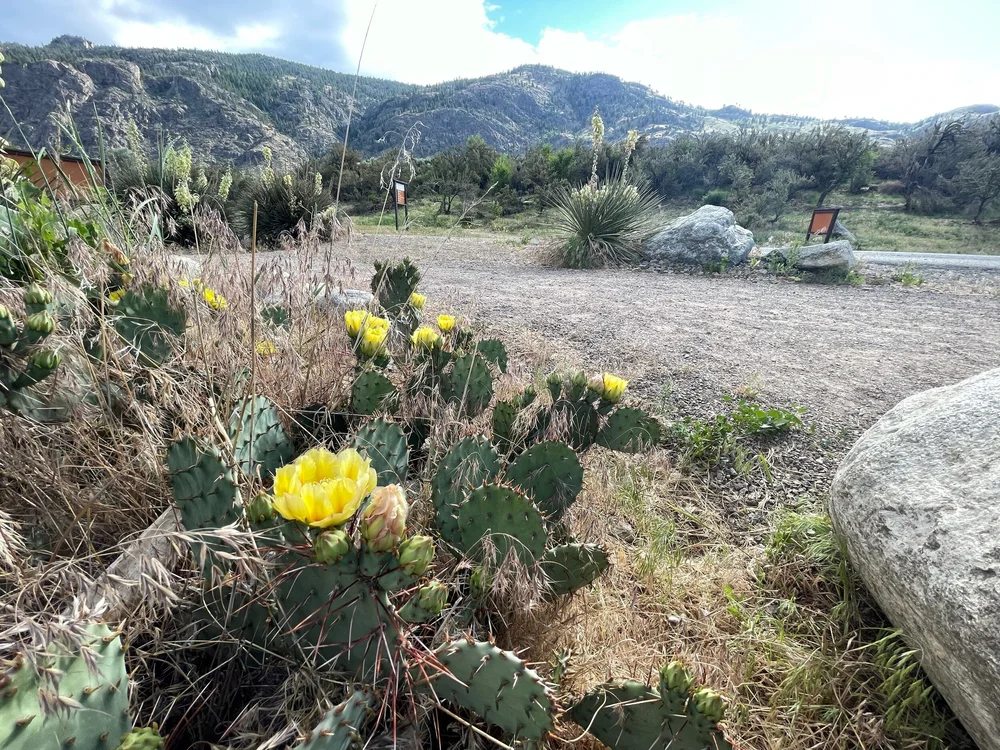 Guide To Travel Osoyoos Exploratory Glory Travel Blog Tinyhouse Living Travel Deals