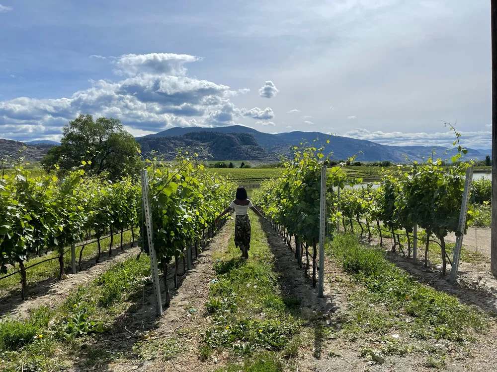 Guide To Travel Osoyoos Exploratory Glory Travel Blog Tinyhouse Living Travel Deals