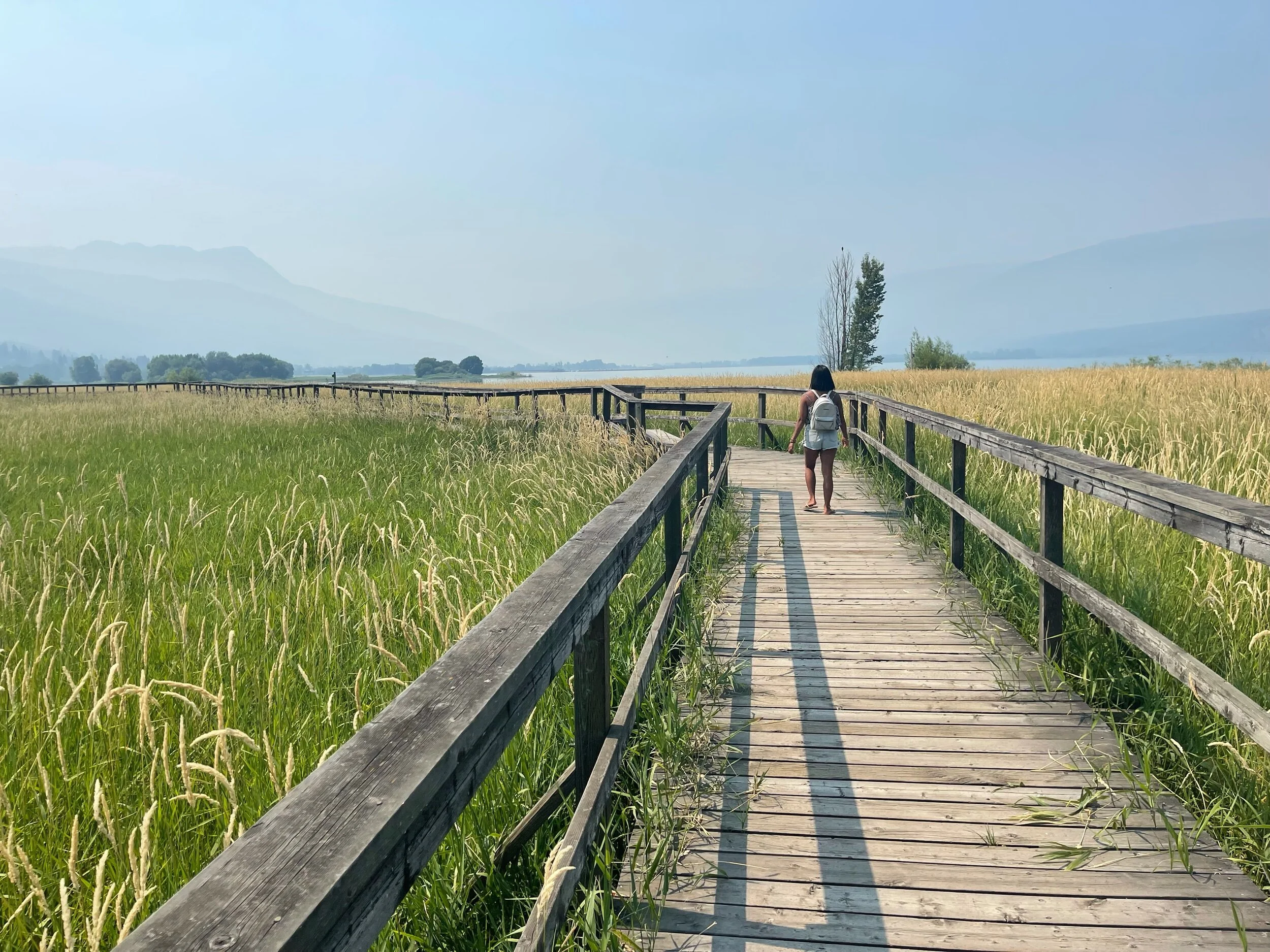Raven Trail, Salmon Arm