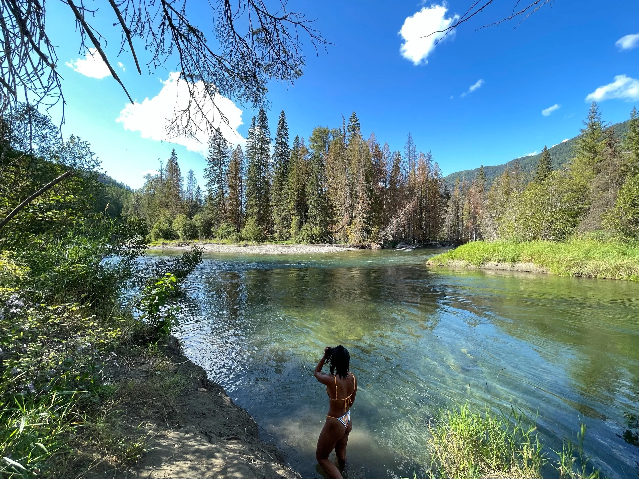 Shuswap River Picnic Area, Cherryville