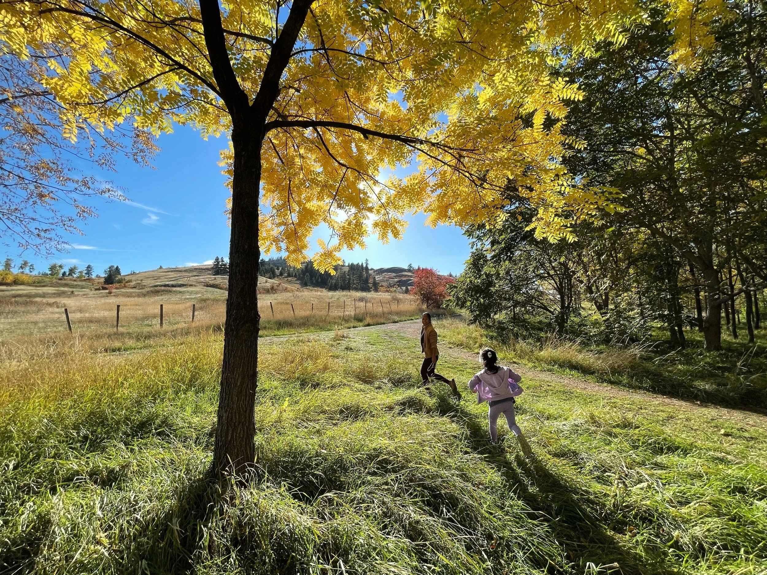 Hidden Troll Forest (Carson’s Park), Vernon, BC