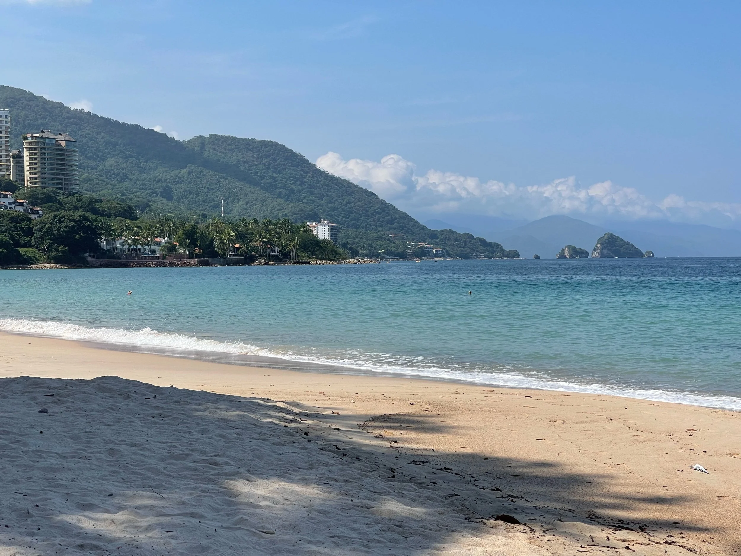 Playa Palmares, Puerto Vallarta