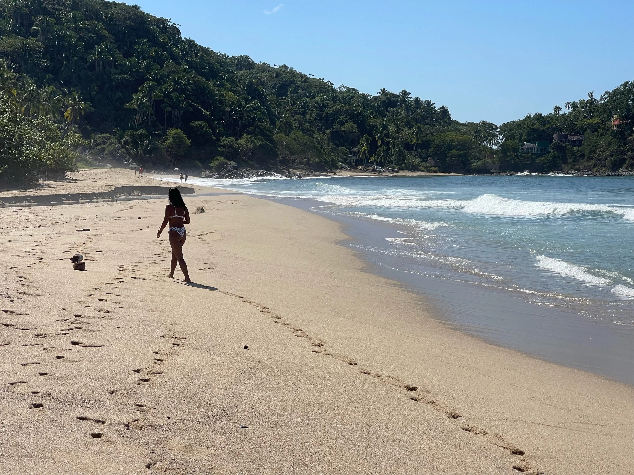 Playa San Panchito, Nayarit