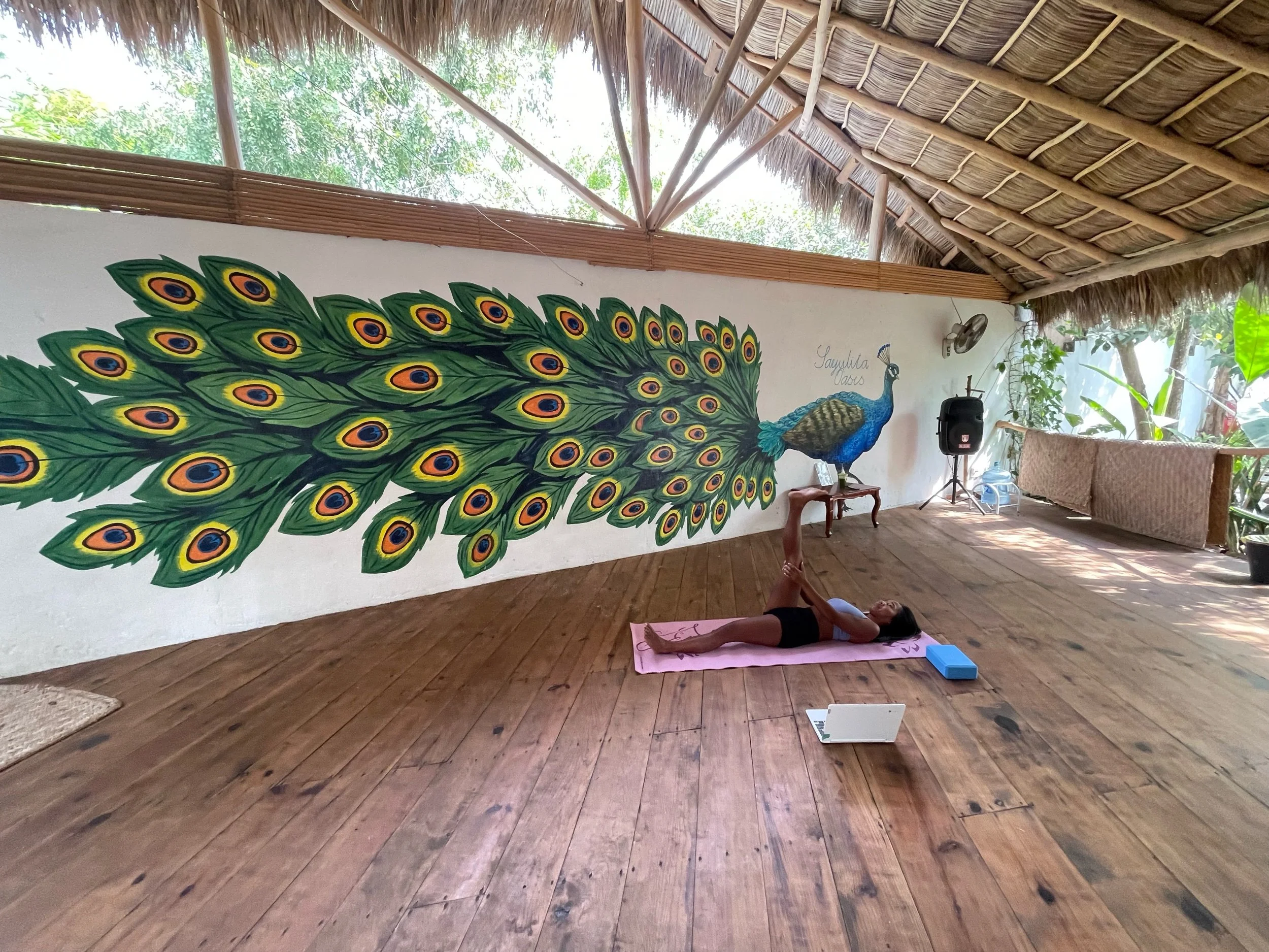 Sayulita Oasis Yoga Retreat Airbnb