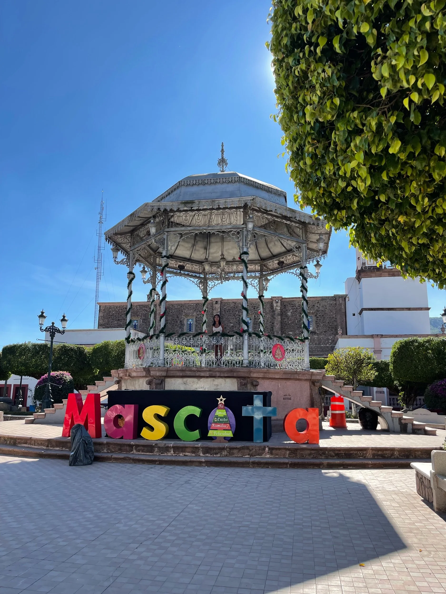 Guide to Travel Mascota, Mexico