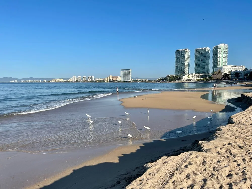 Playa del Holi, Puerto Vallarta