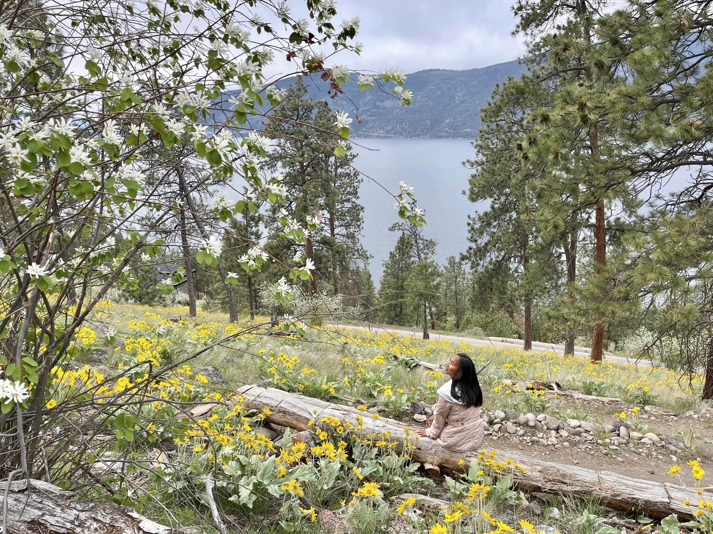 Full Loop Trail, Okanagan Centre