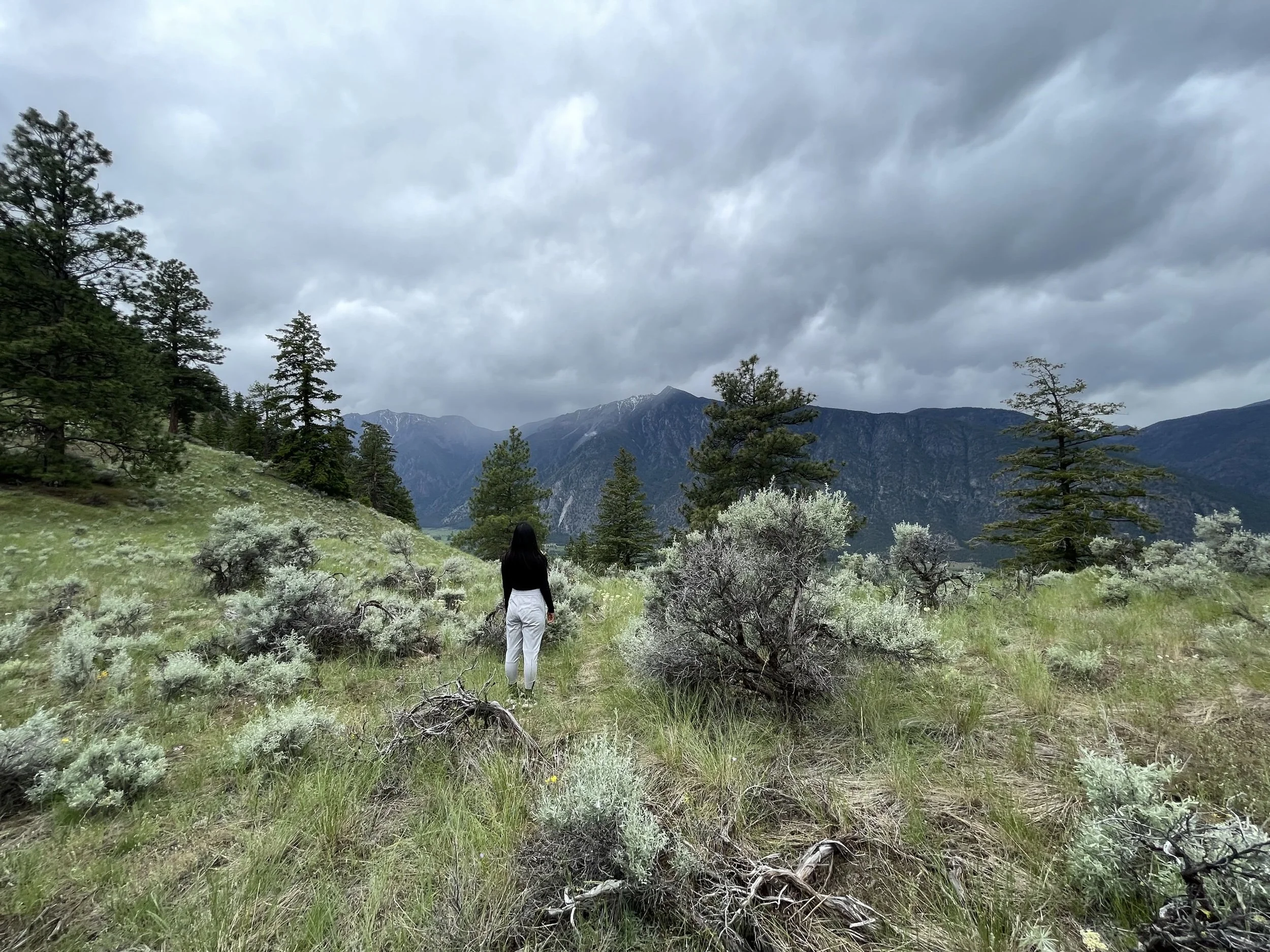 Nighthawk Hill Trail, Cawston, BC