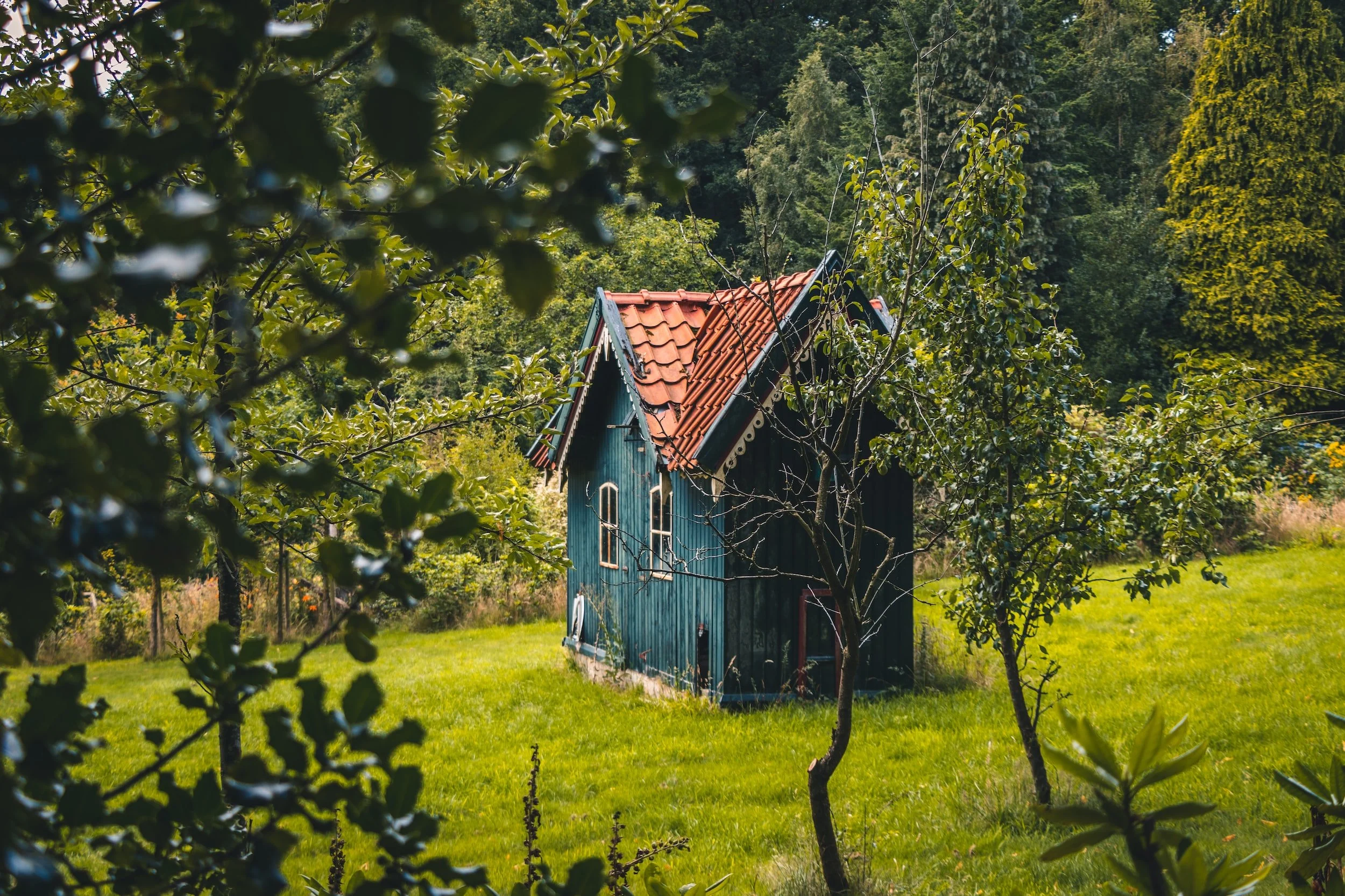 Top Roofing Solutions That Fit Your Awesome Tiny Home