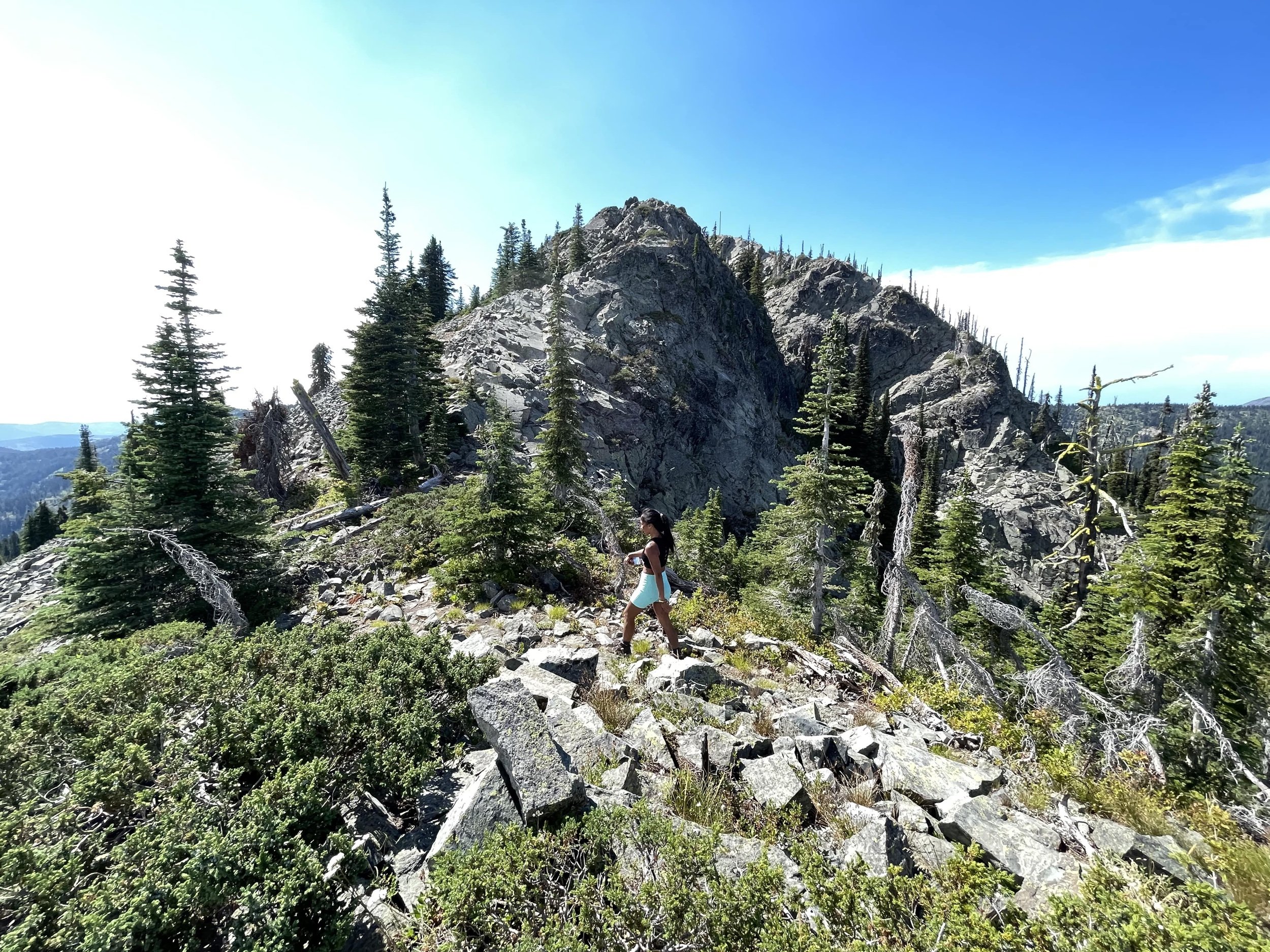 Mount Roberts Hiking Trail, Rossland, BC