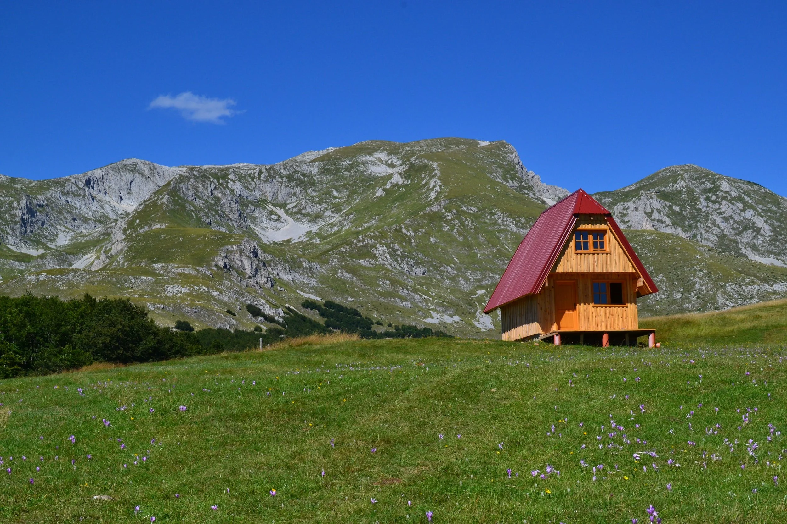 How To Keep Your Small House Cozy And Comfortable Throughout The Year