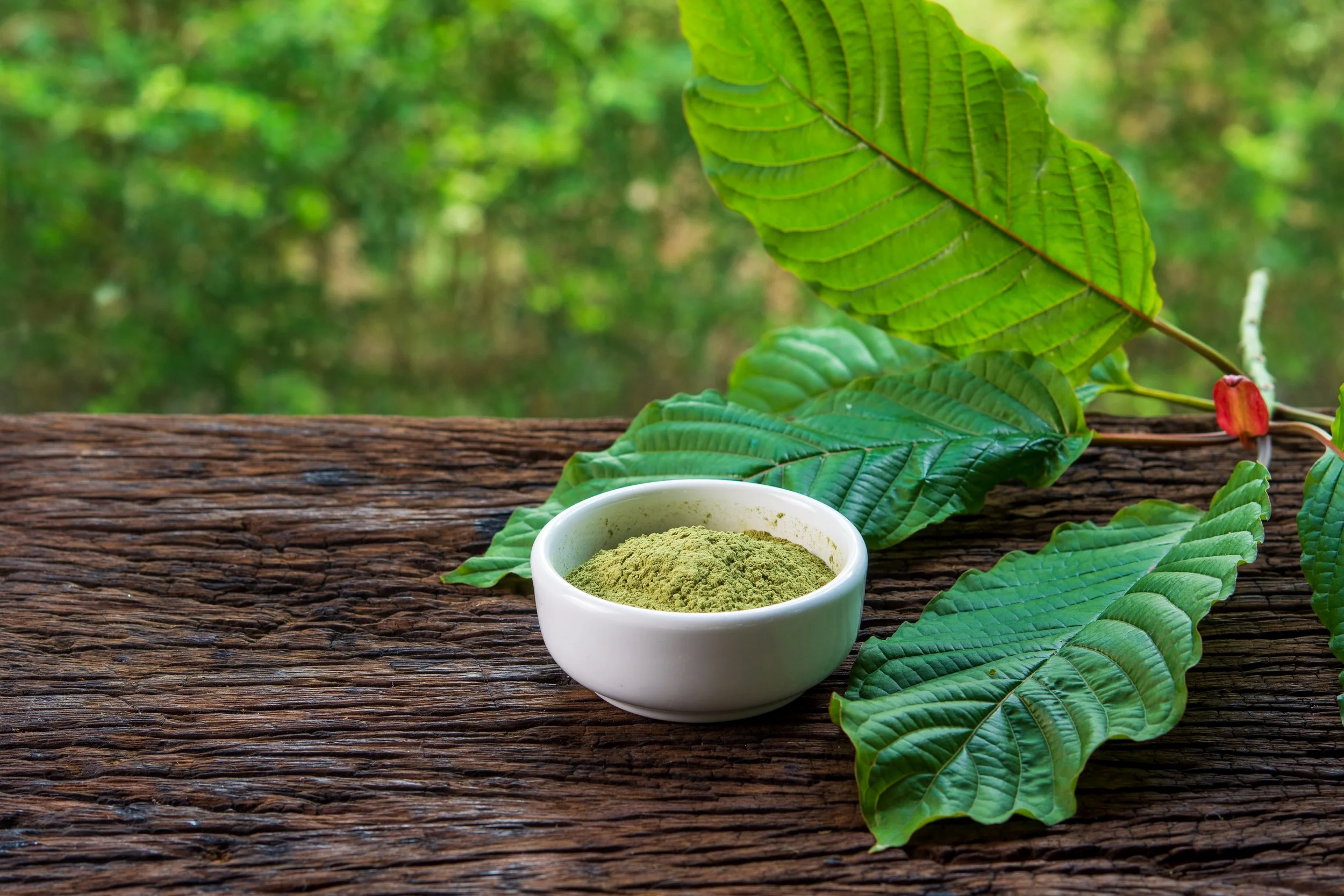 How Can the Use of Herb Derivates Quickly Improve Your Lifestyle