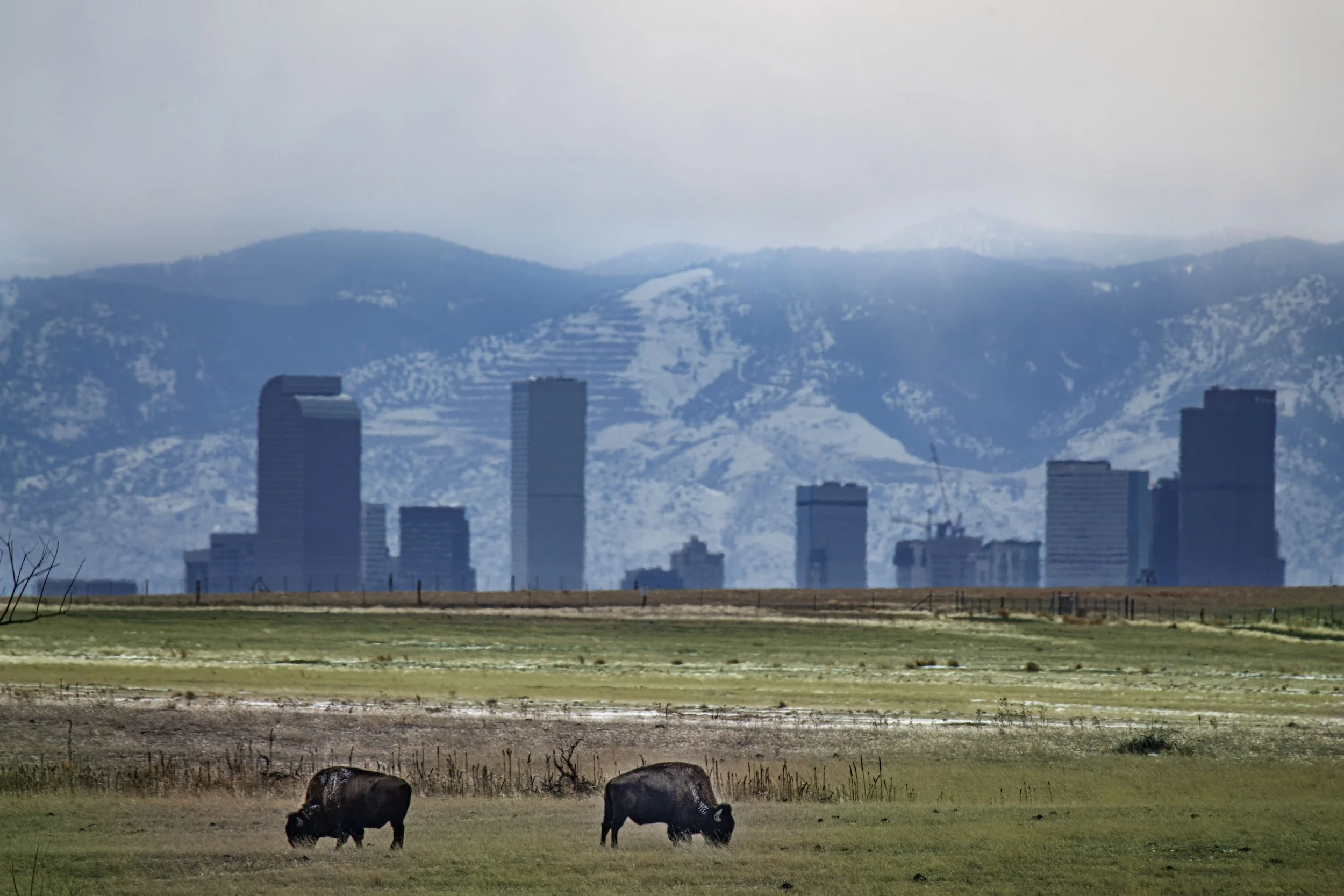 Explore Denver: The Perfect Balance of City and Wilderness
