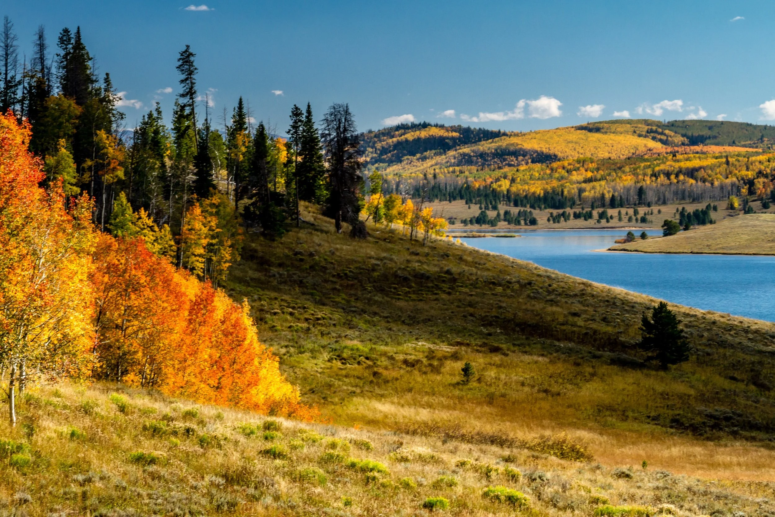 How to Spend a Day in Steamboat Springs