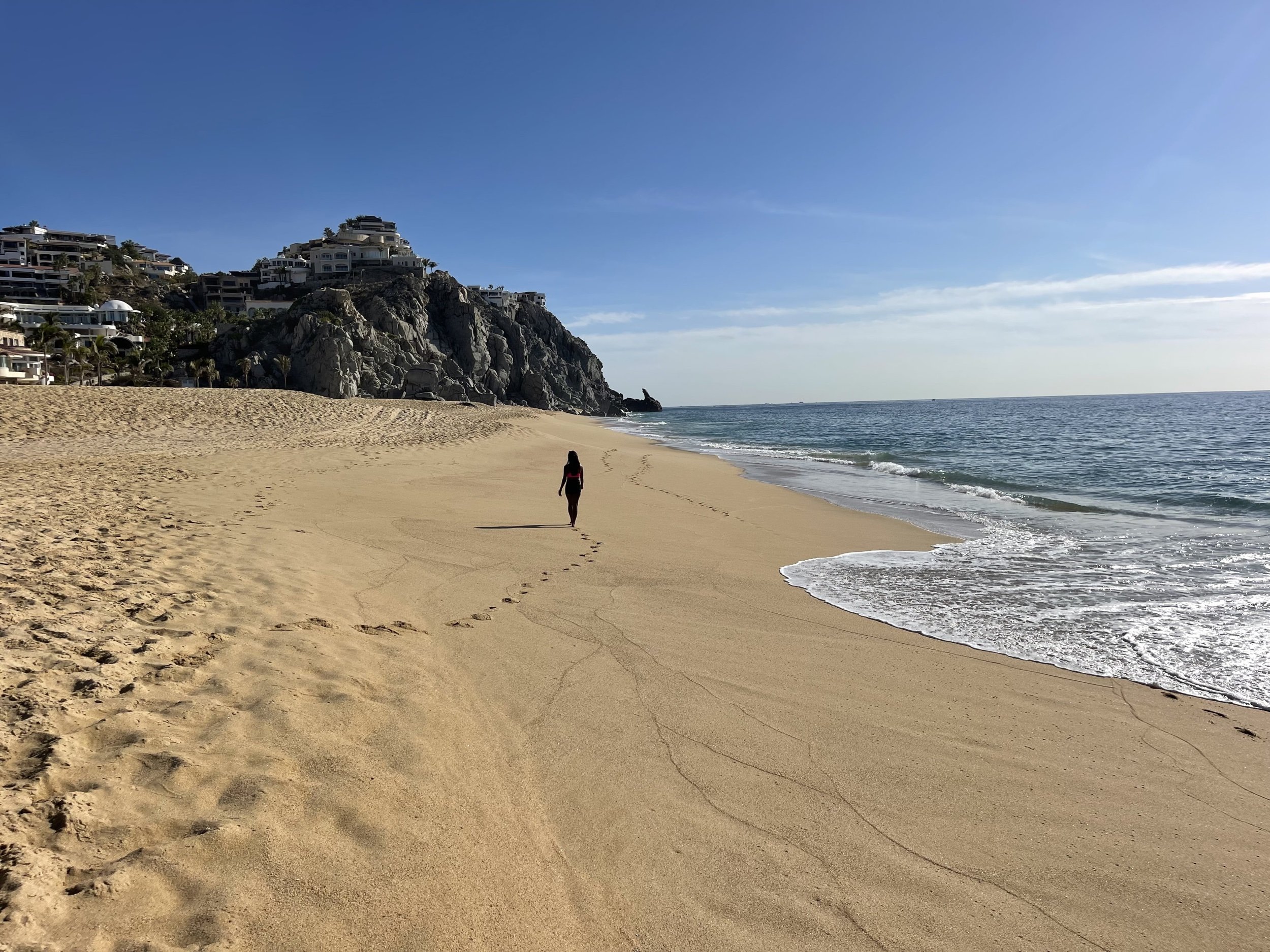 Playa Pedregal, Pacific Beach - Cabo San Lucas Beaches