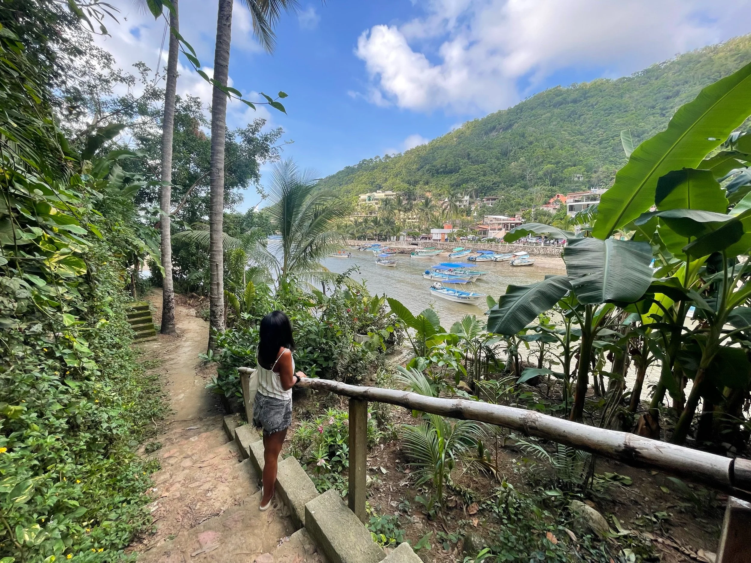 Guide to Travel Boca de Tomatlan, México