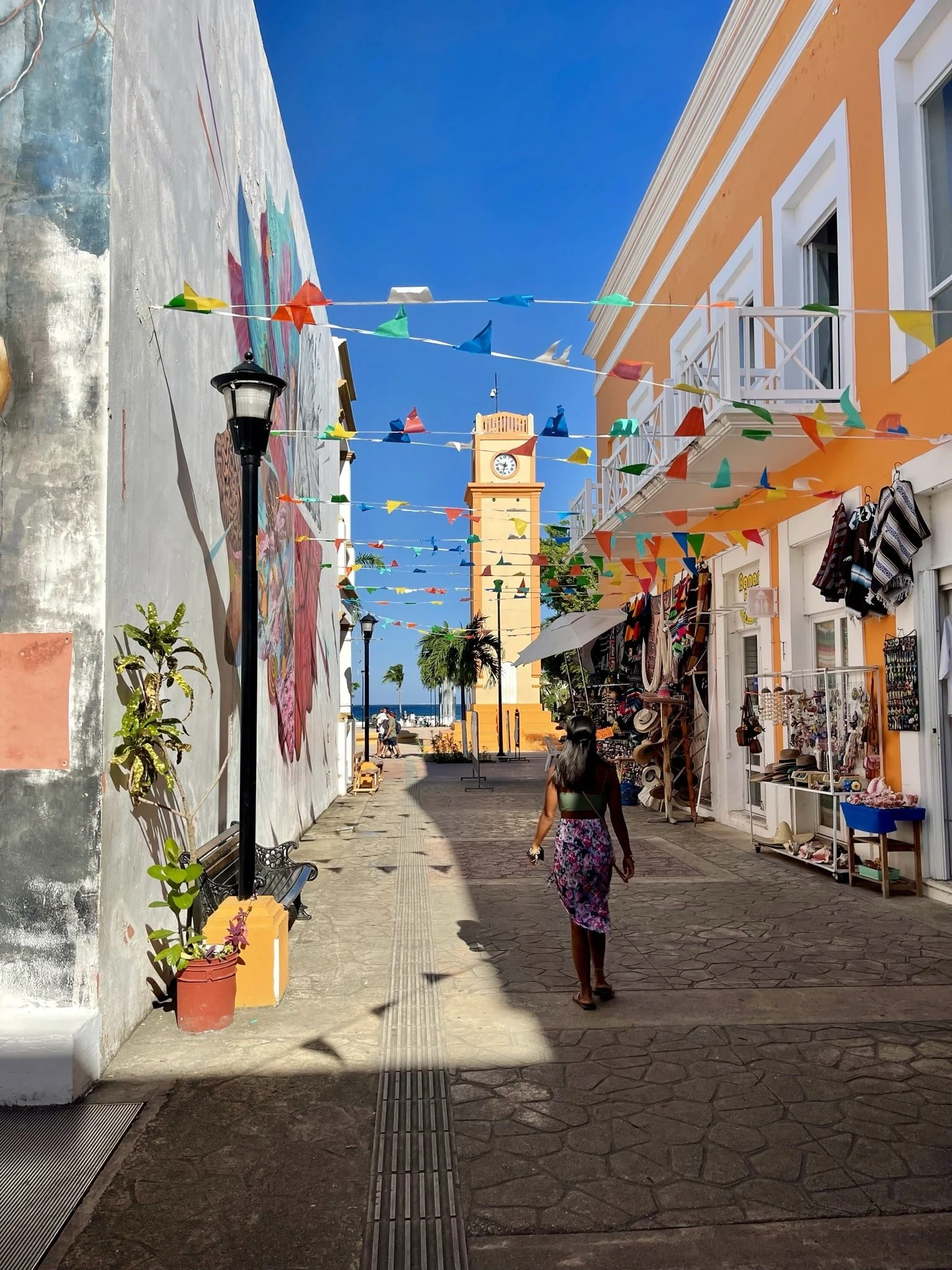 Guide to Travel Cozumel, México