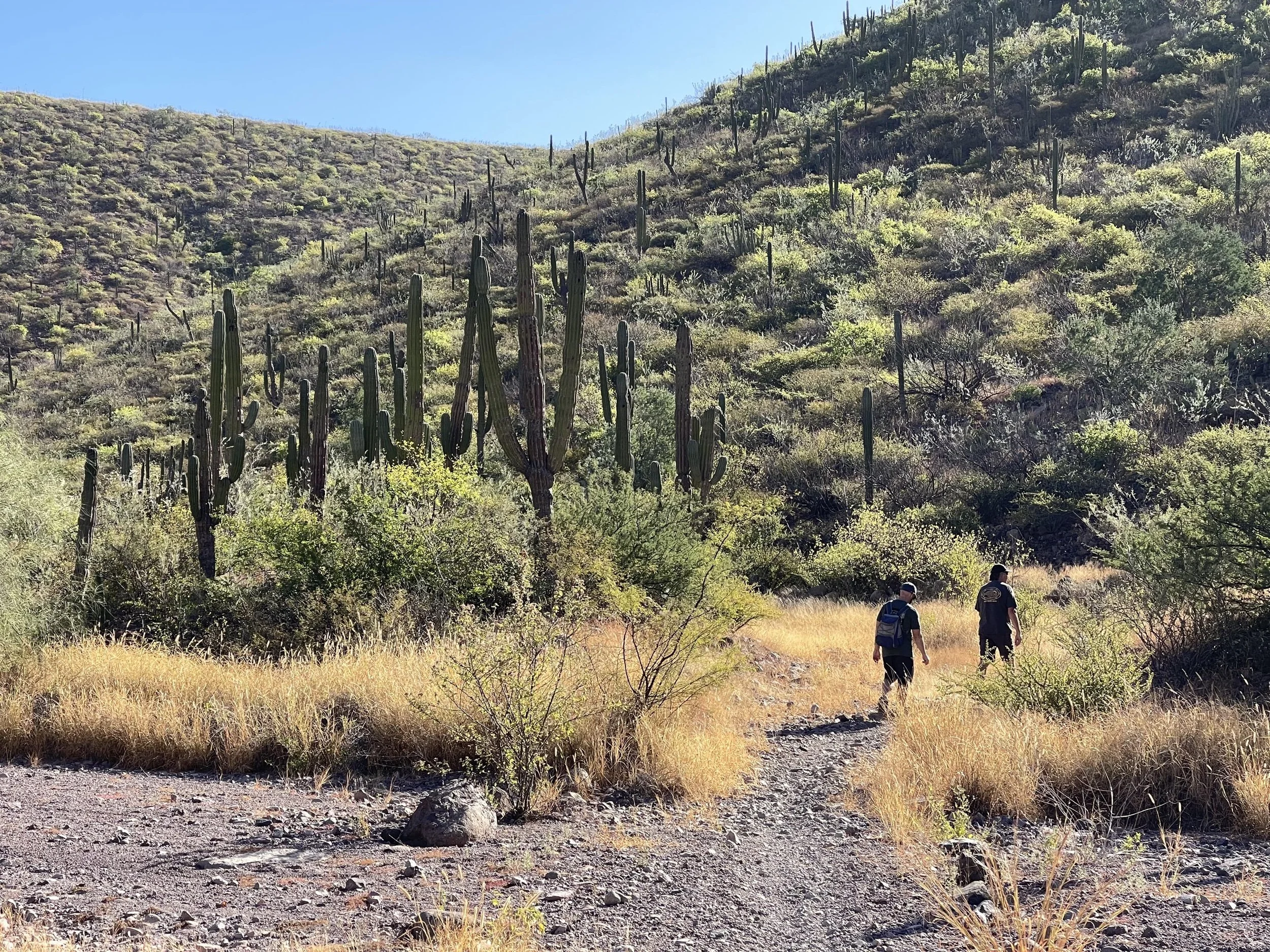 Bahia Magdalena Trail, La Paz, Mexico