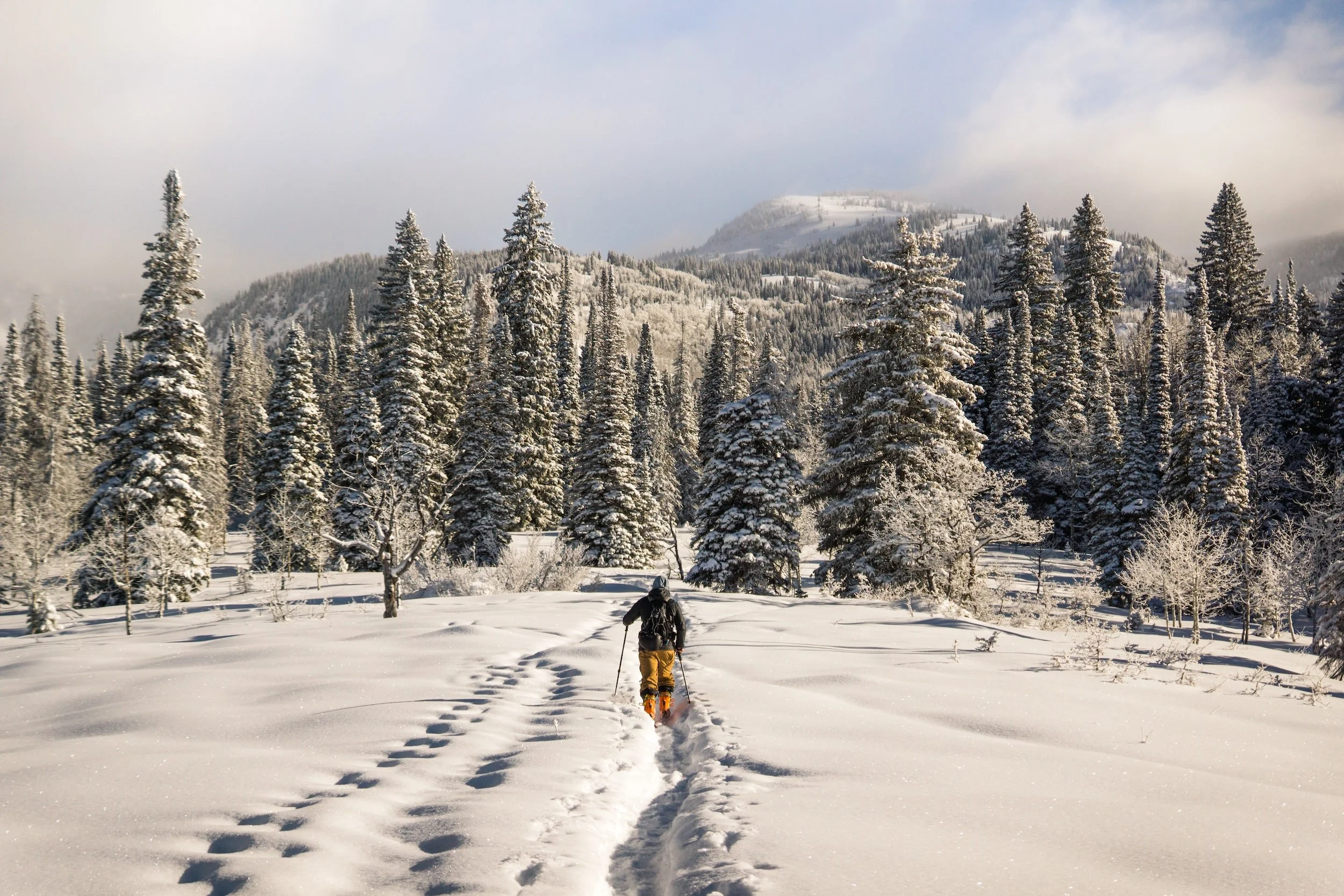 Designing a Dream Ski Vacation in Steamboat Springs, Colorado