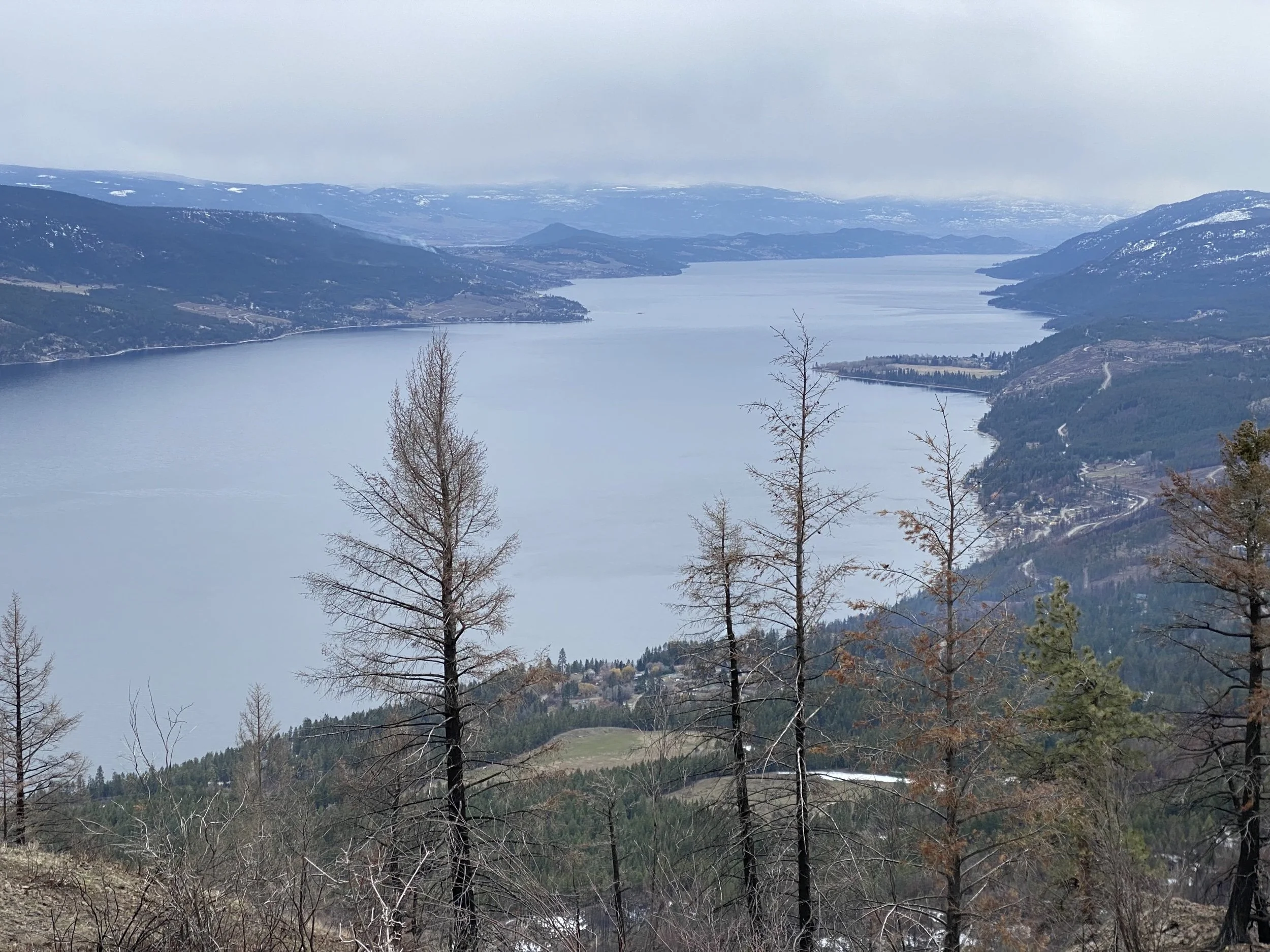 Sugarloaf Mountain Hike, Central Okanagan