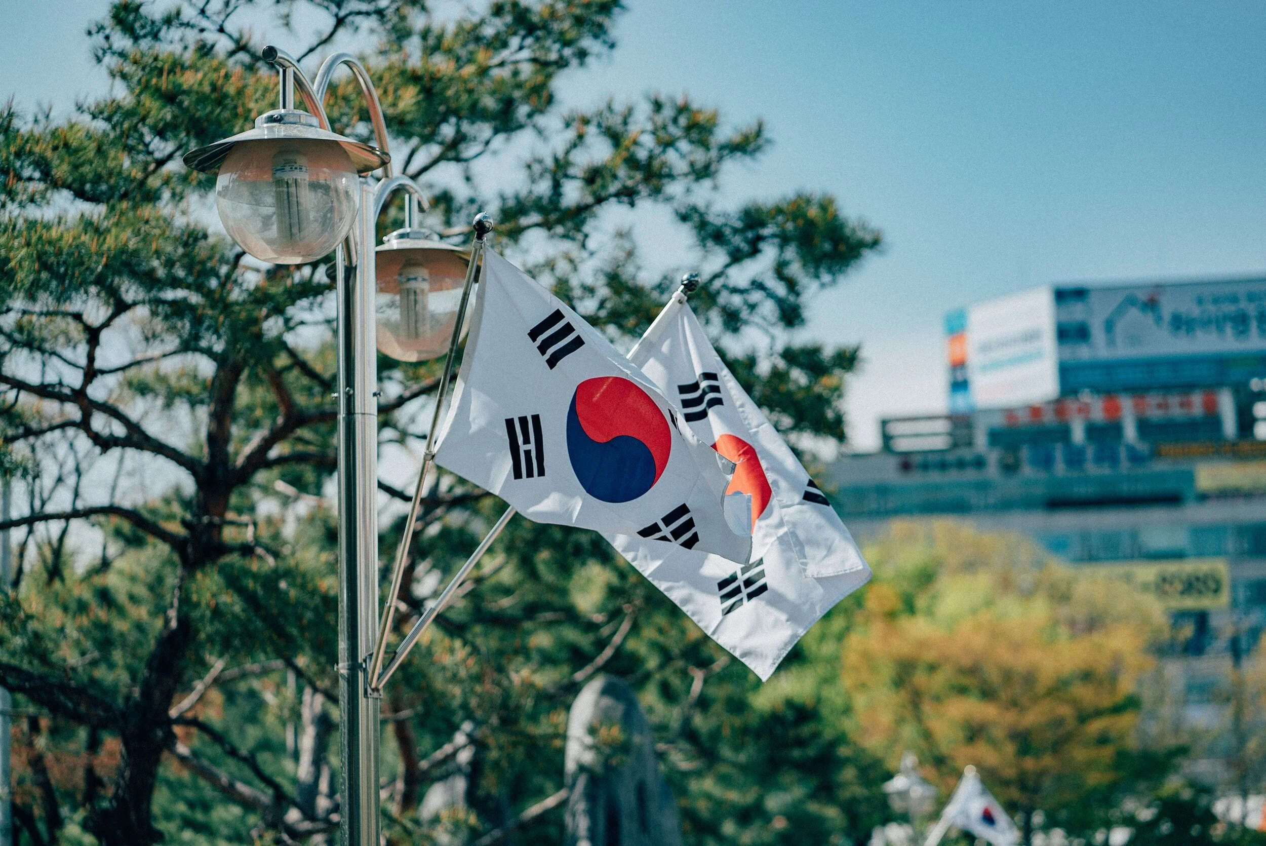  Korean Etiquette and Customs: Dos and Don'ts for Travelers