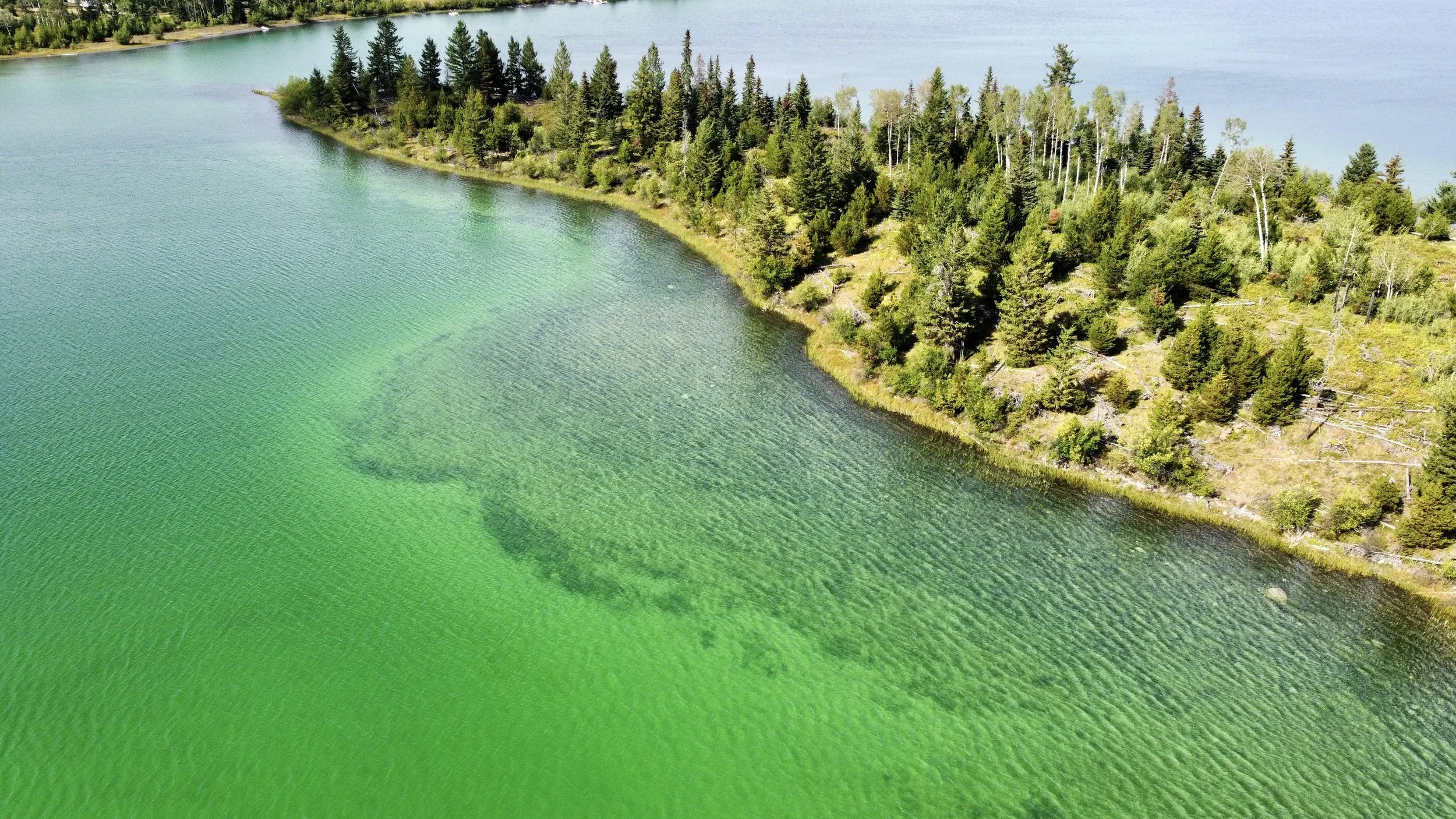 Green Lake Provincial Park, British Columbia