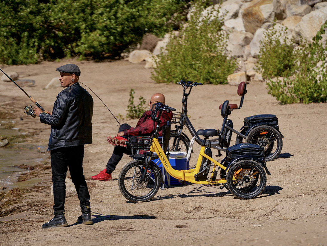 Addmotor Best Electric Trikes Reviews