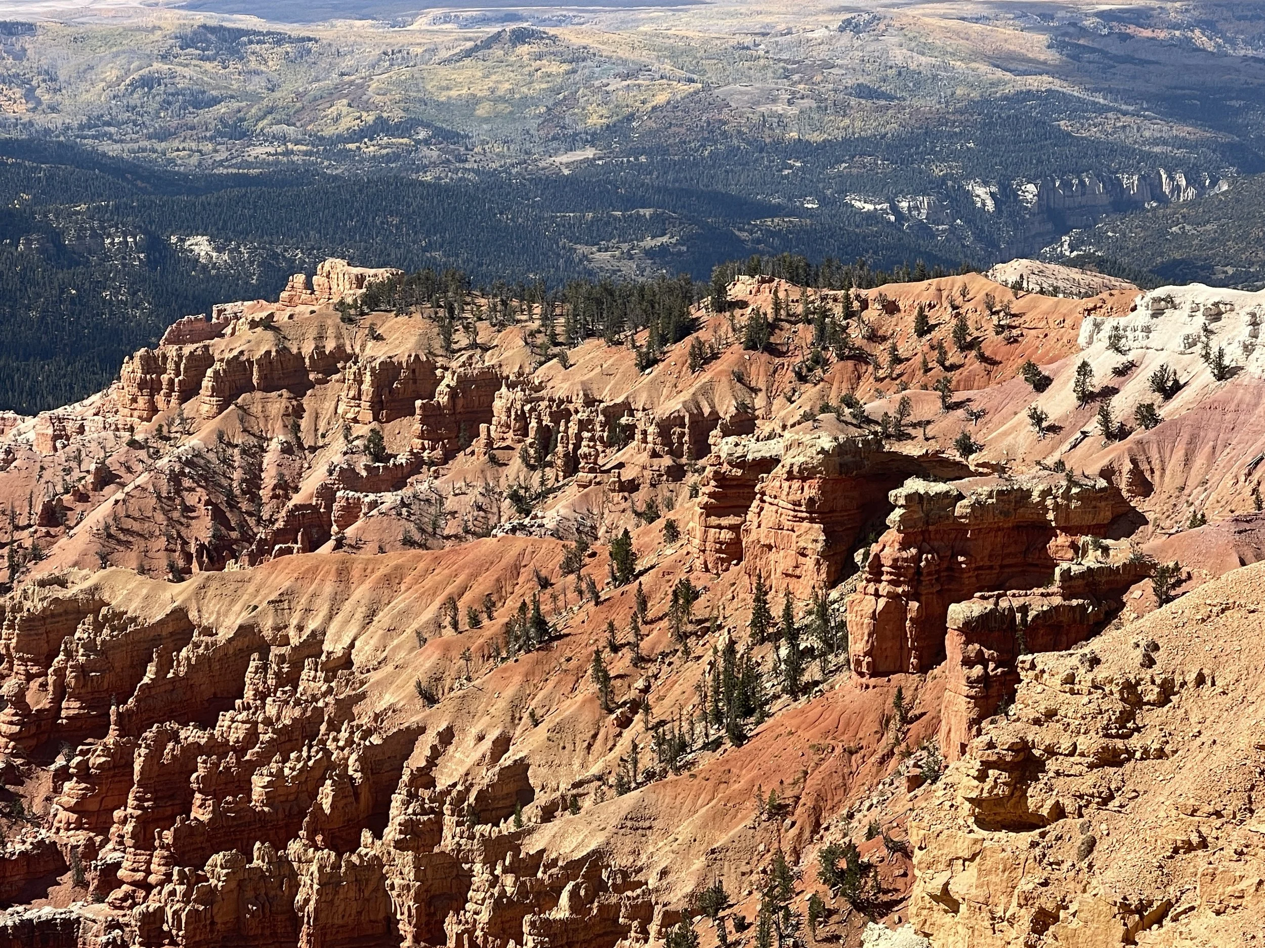 Cedar Breaks National Monument, Utah