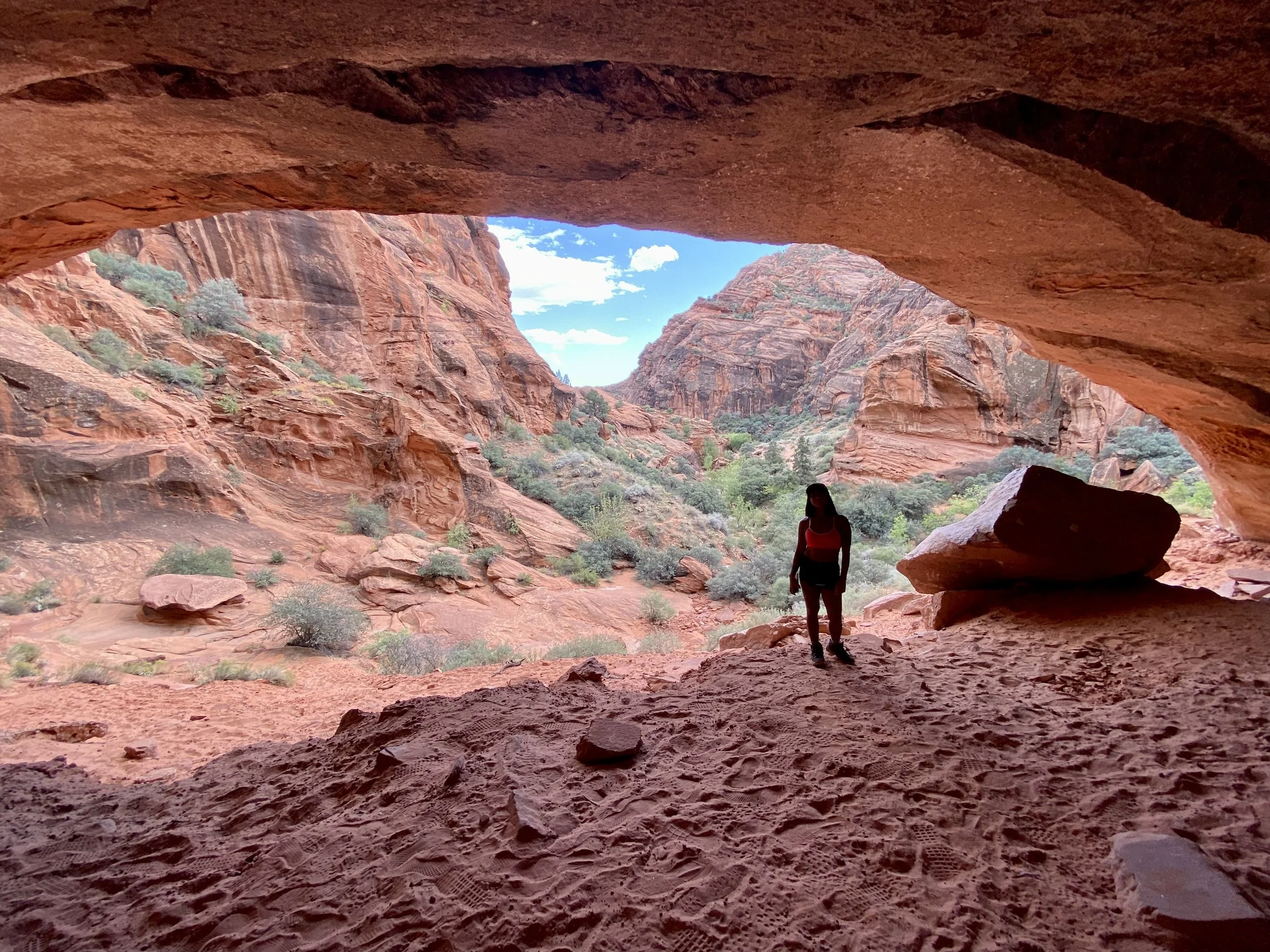 Discovering the Majestic Beauty: Red Cliffs National Conservation Area