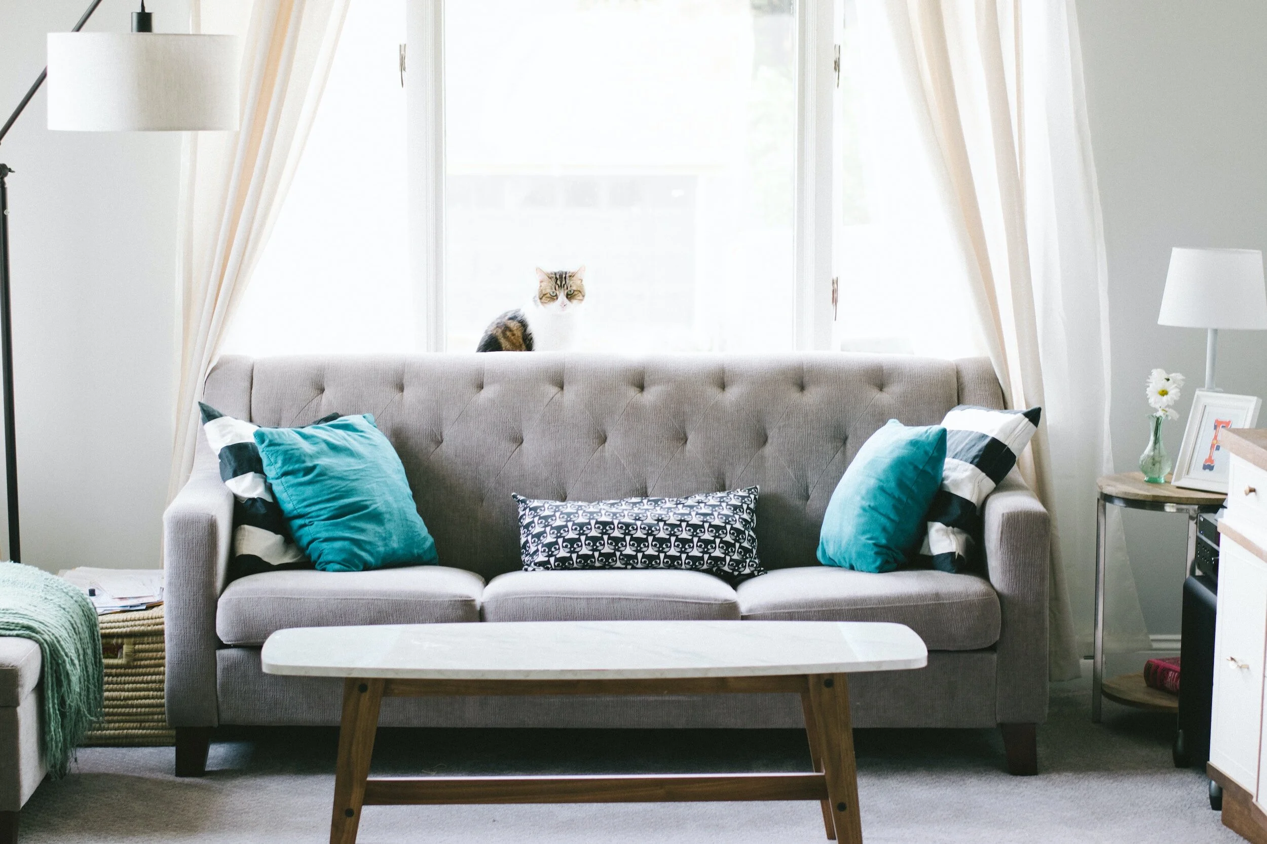 Picking a Sofa for Your Tiny Home: 3 Key Considerations