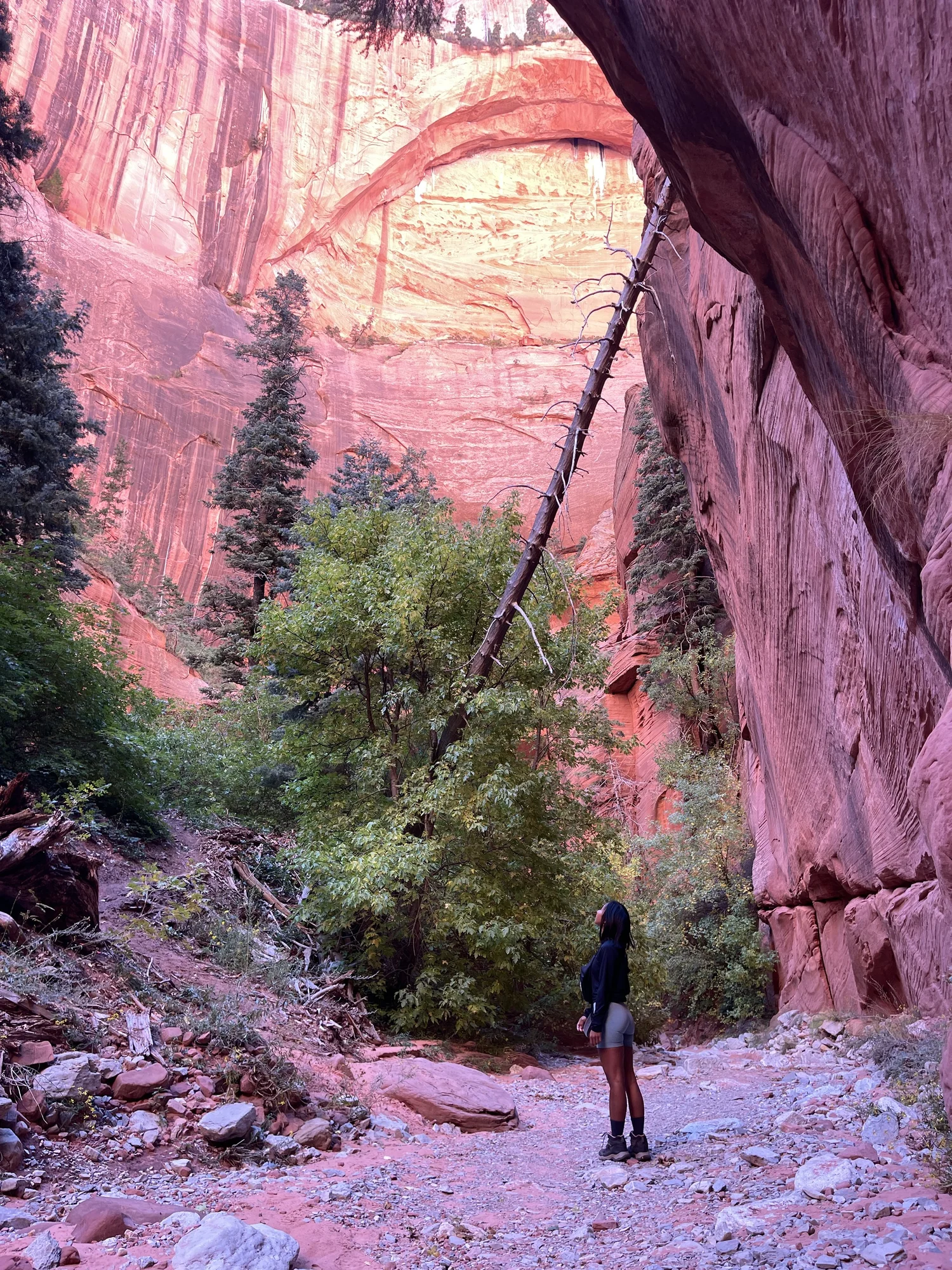 kolob canyon hikes