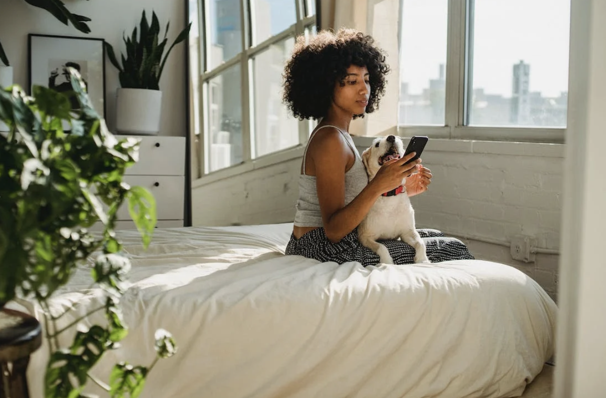 How to Make Your Pets Comfortable in Your Tiny Home