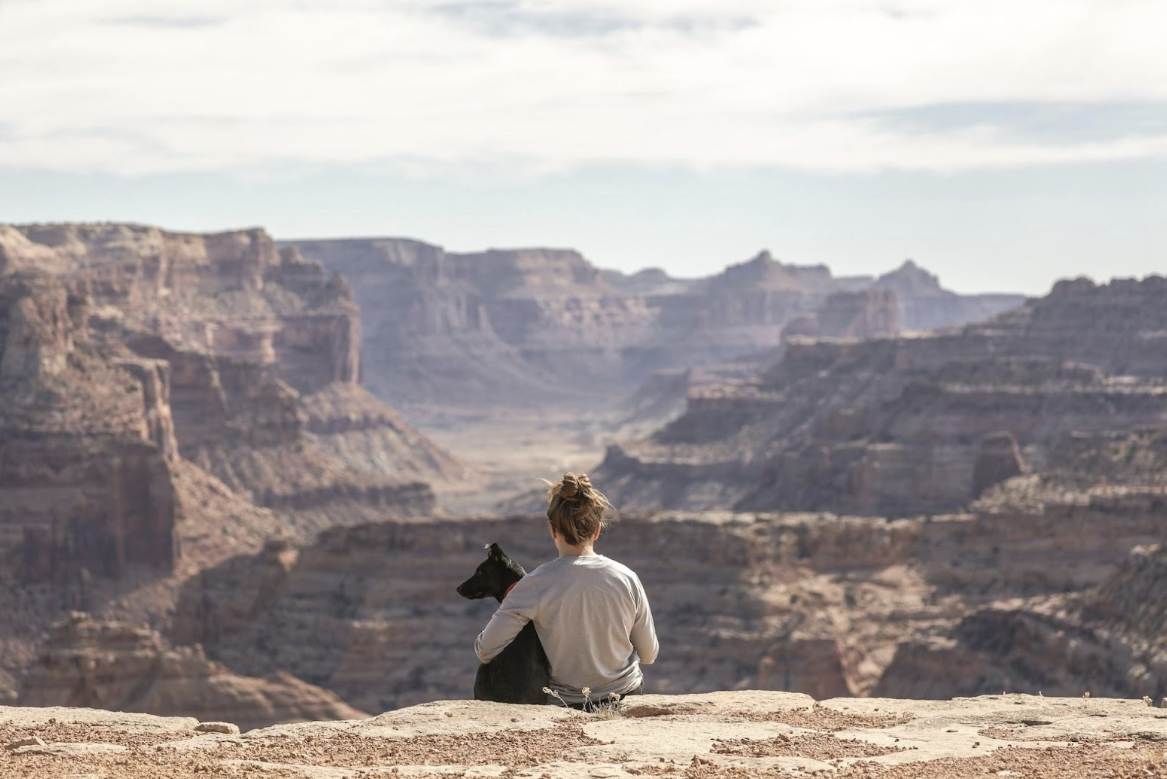 6 Unexpected Ways to Ensure Smooth Travels for Your Pet