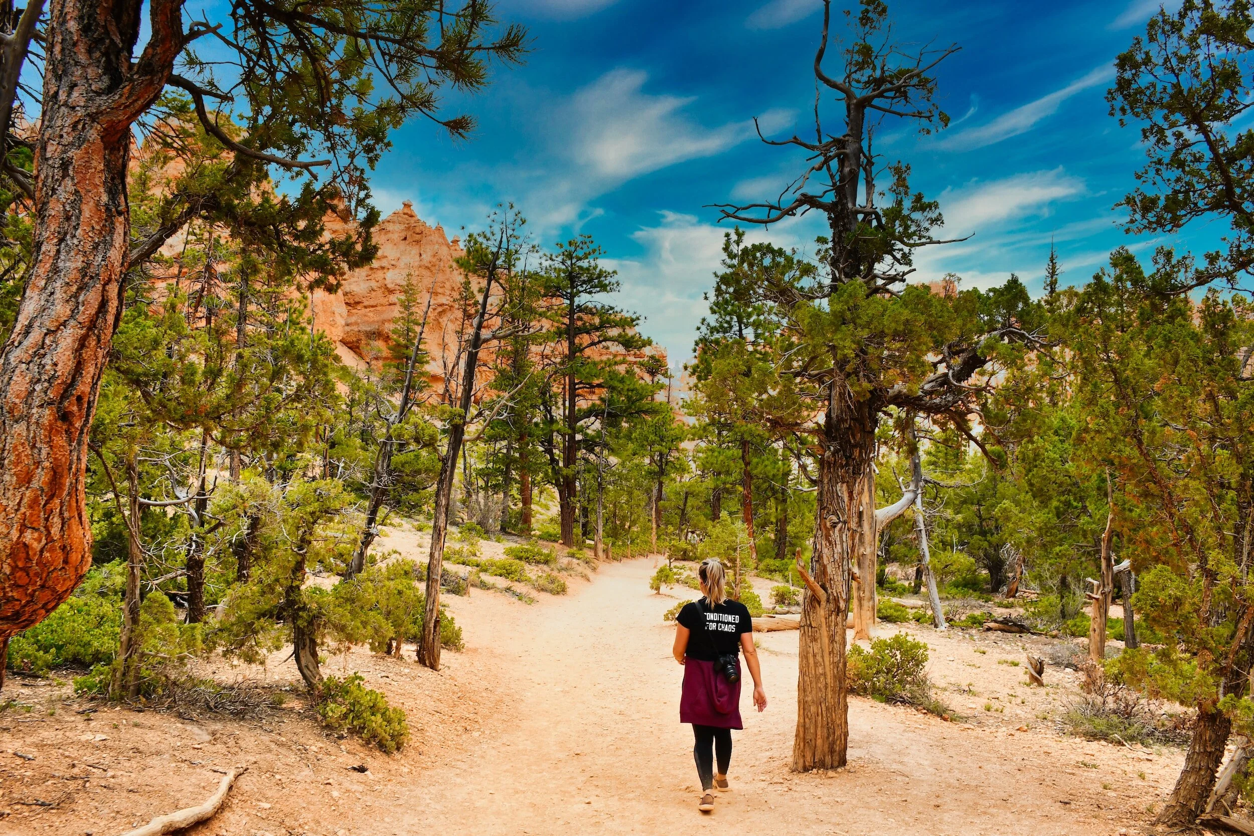 Discover, Trek, Thrive 6 MustExperience Solo US Vacations for Women