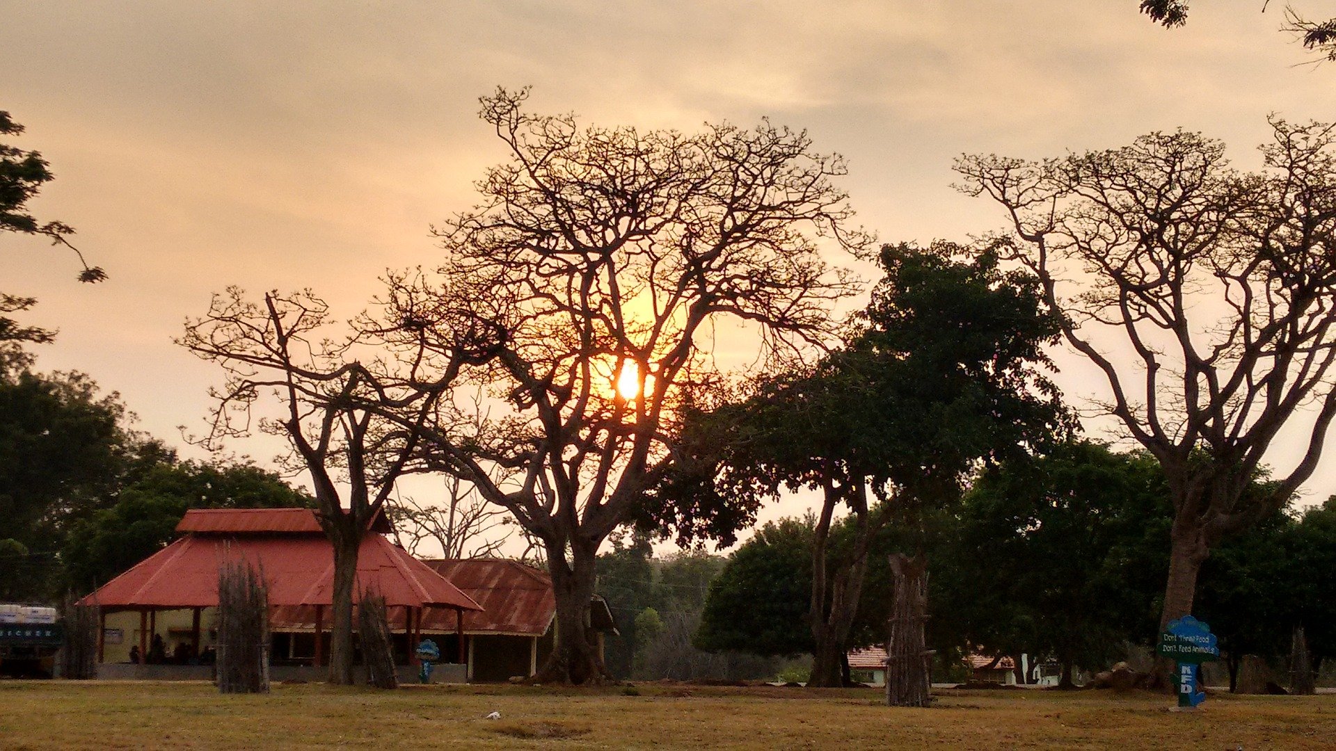 Off-the-Beaten-Path Safaris: Hidden Gems in South Africa's Natural Reserves