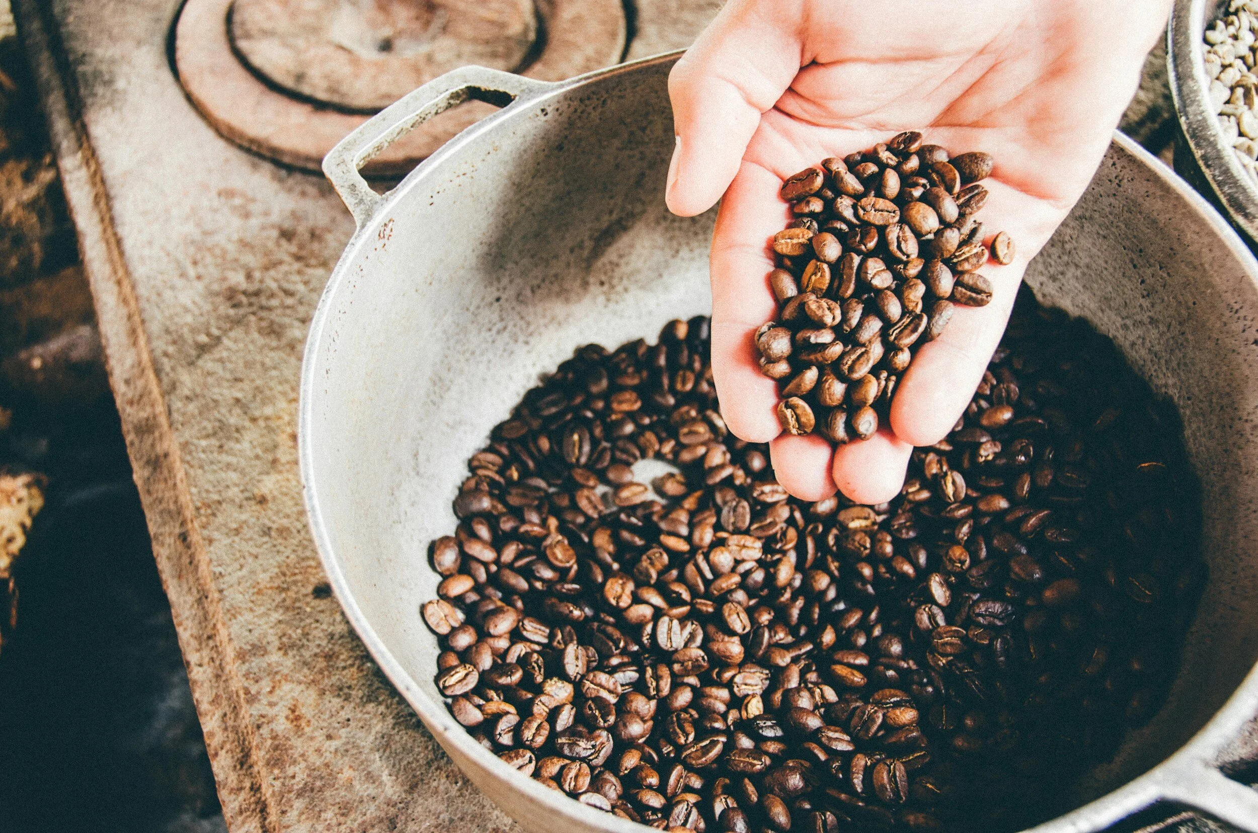 The History and Economic Impact of Coffee in Costa Rica