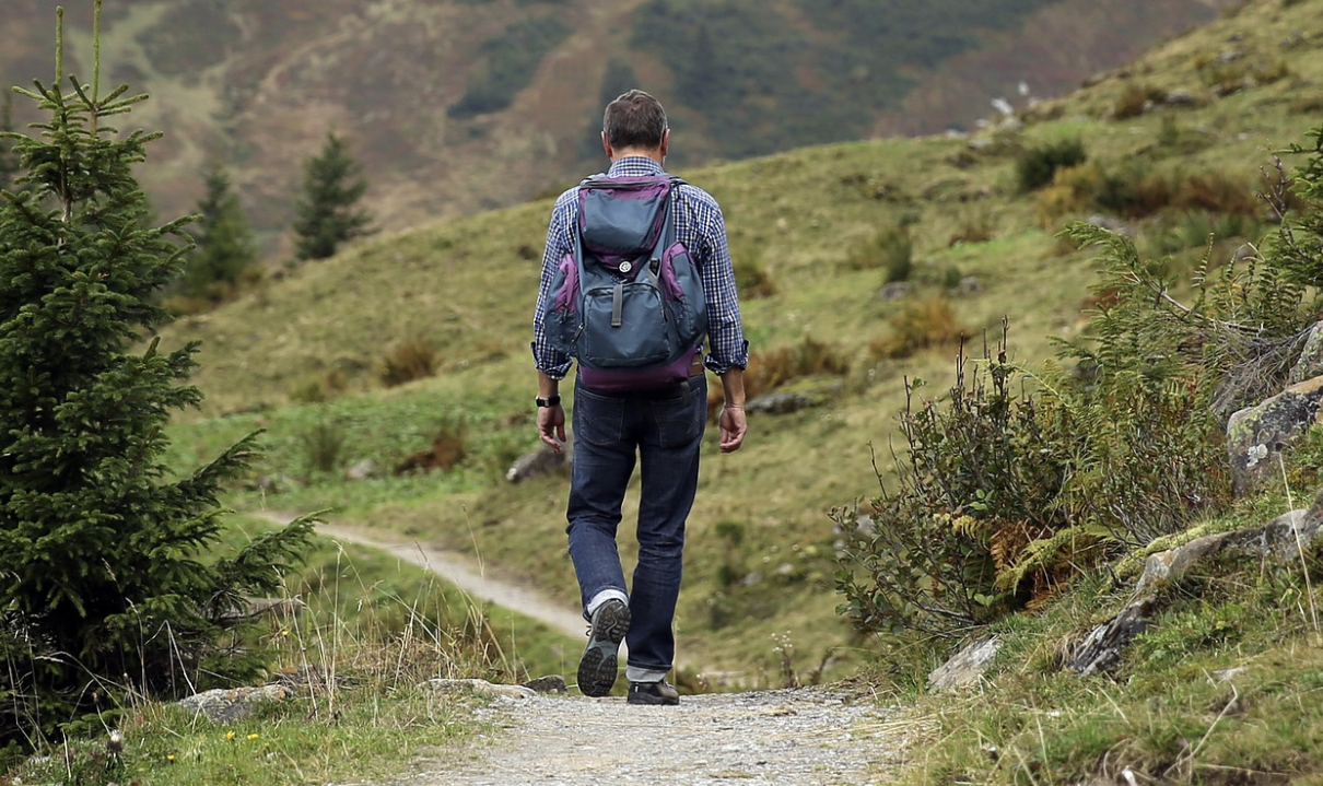Embracing Adventure with Organic Foods in Your Travel Backpack
