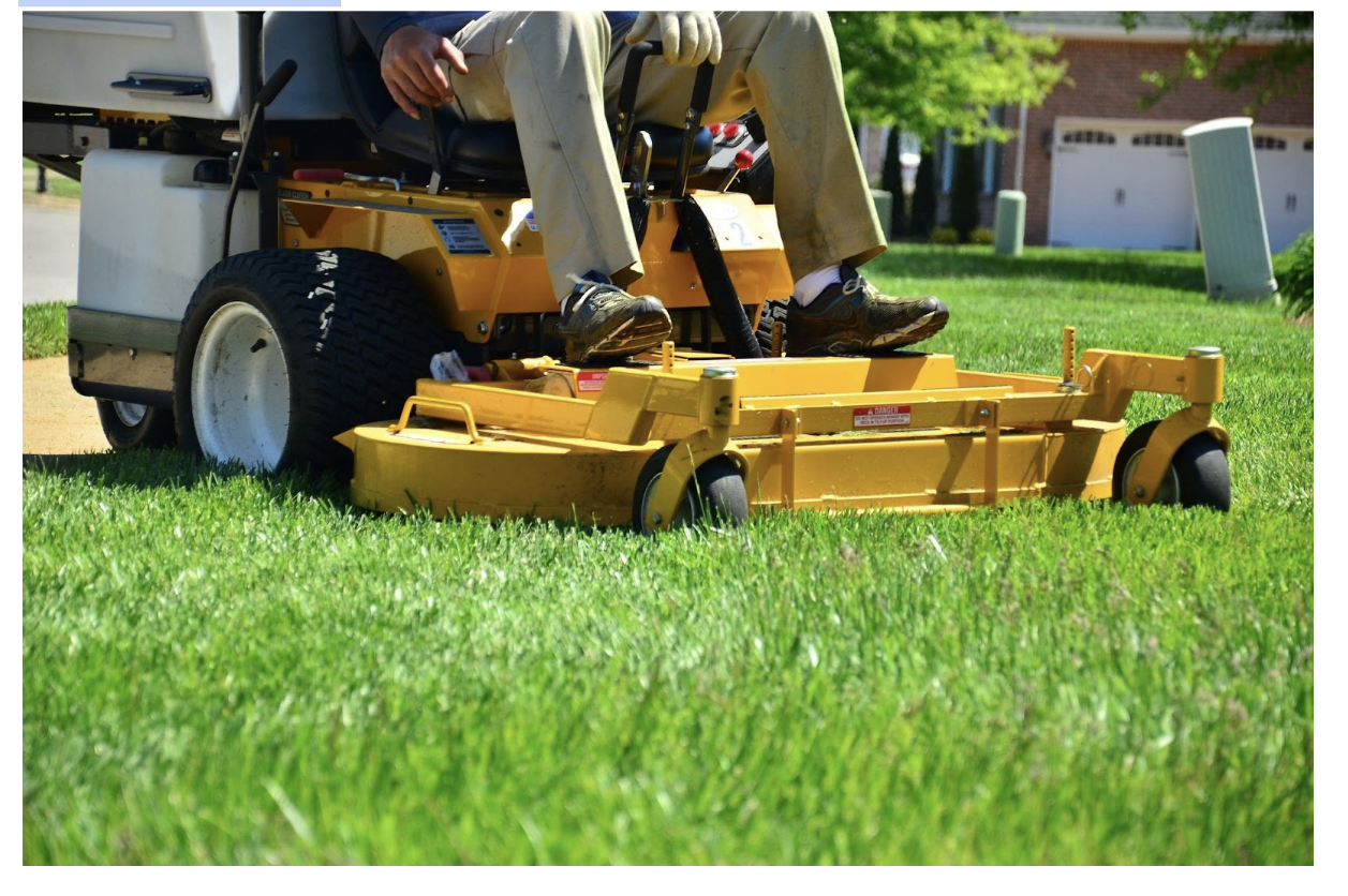 Tips for Maintaining a Luscious Lawn All Year Round