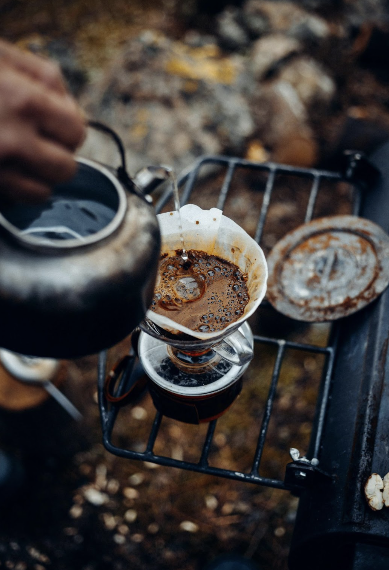 Wanderlust for Wellness: The Protein Pacing Traveler's Guide